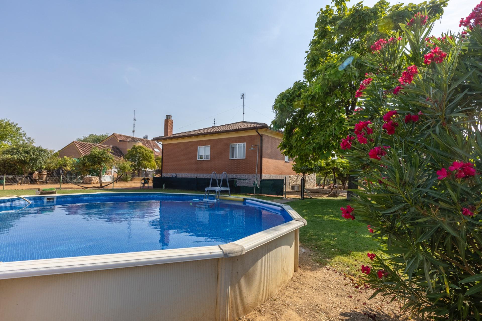 Casas o chalets-Venta-Trigueros del Valle-1876346-Foto-23
