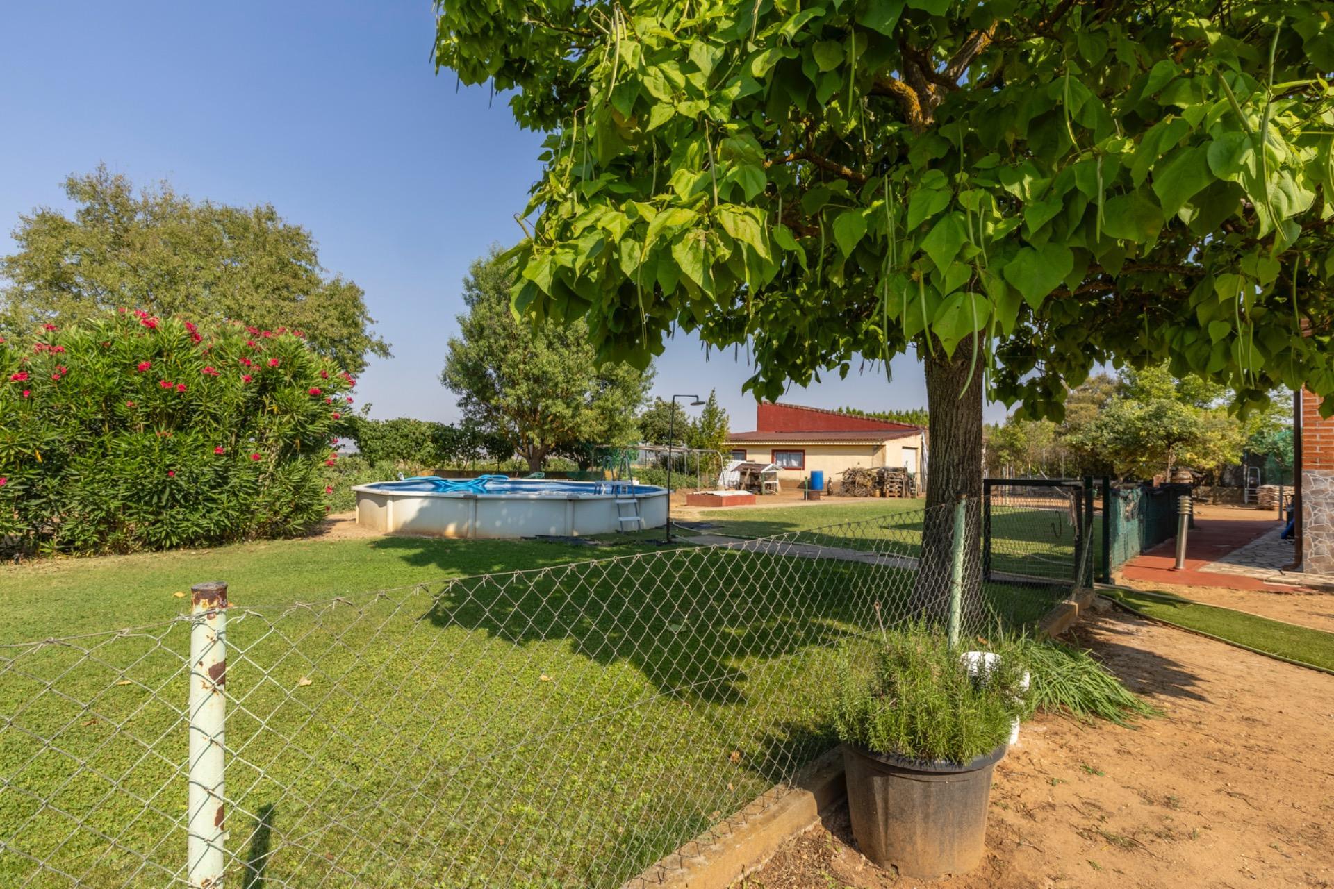 Casas o chalets-Venta-Trigueros del Valle-1876346-Foto-25