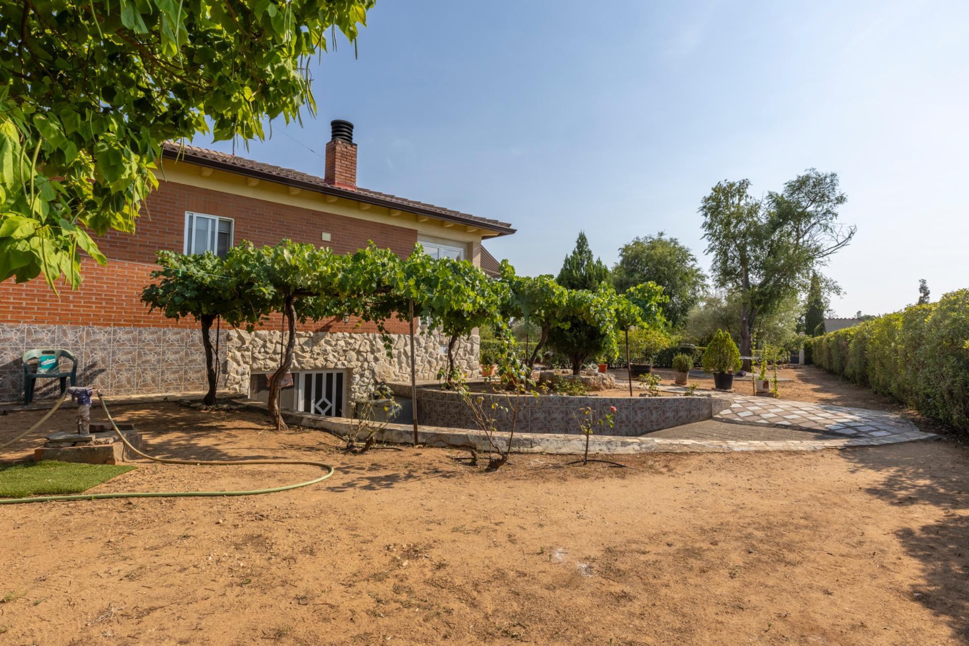 Casas o chalets-Venta-Trigueros del Valle-1876346-Foto-24