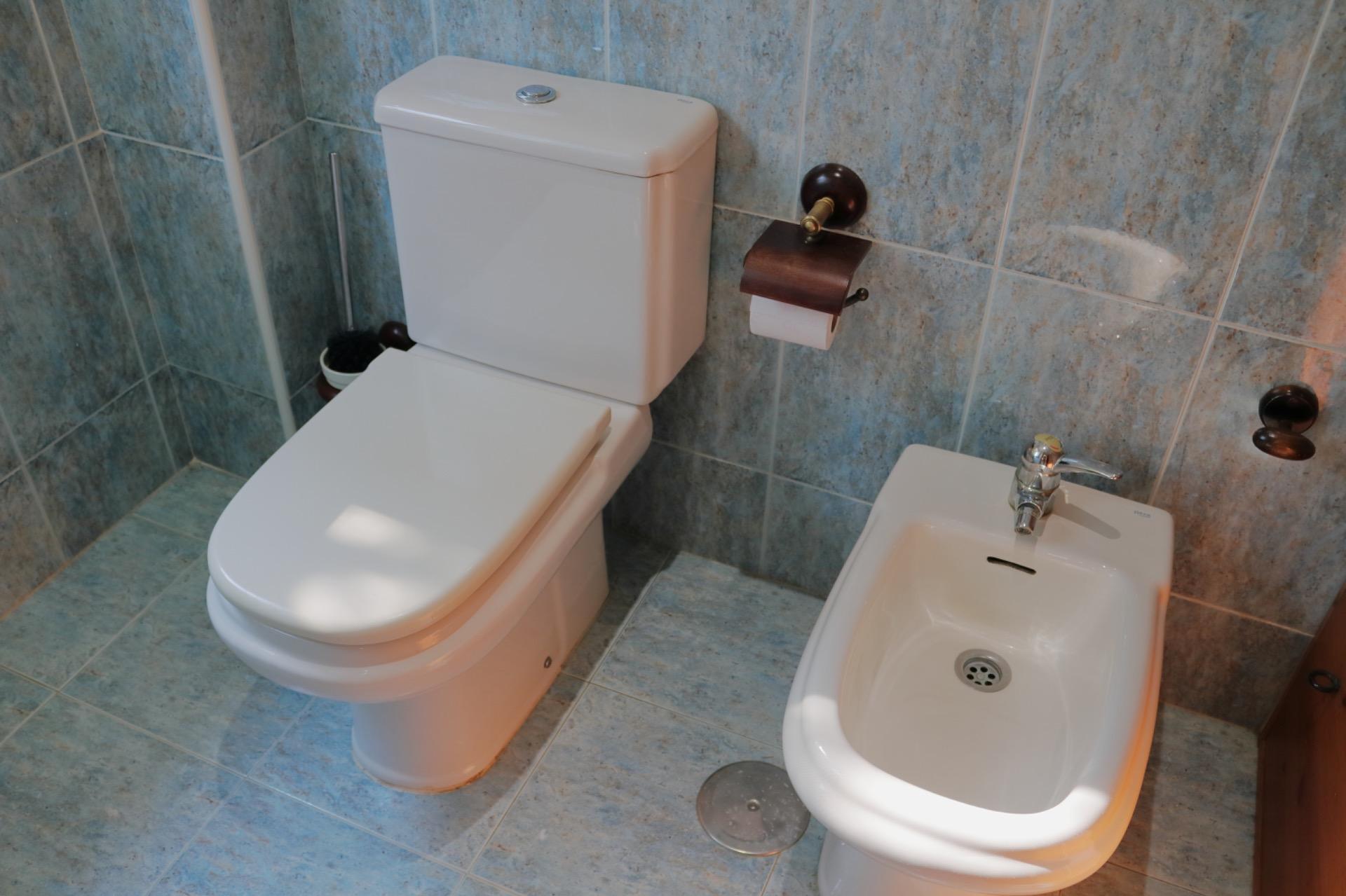 Casas o chalets-Venta-Aldeamayor de San MartÃ­n-1876358-Foto-21
