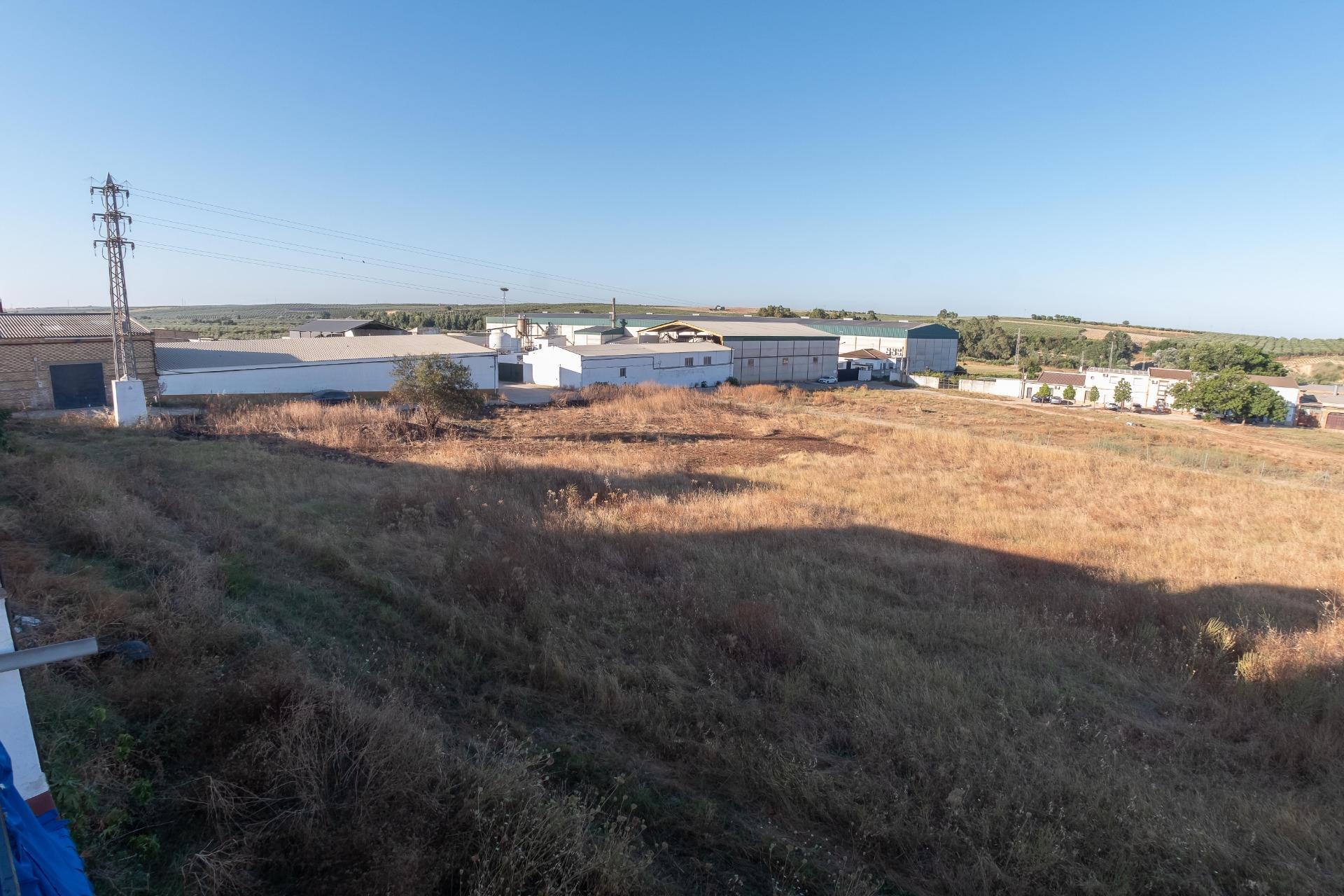 Casas o chalets-Venta-Pilas-1767608-Foto-65