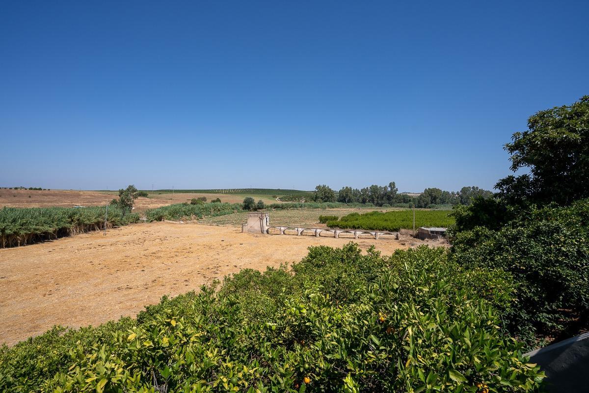Pisos-Venta-Villanueva del RÃ­o y Minas-1876873-Foto-49