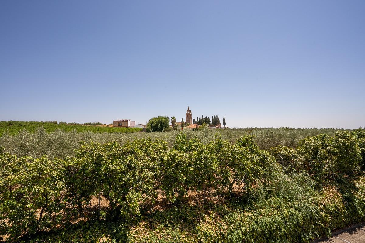 Pisos-Venta-Villanueva del RÃ­o y Minas-1876873-Foto-50