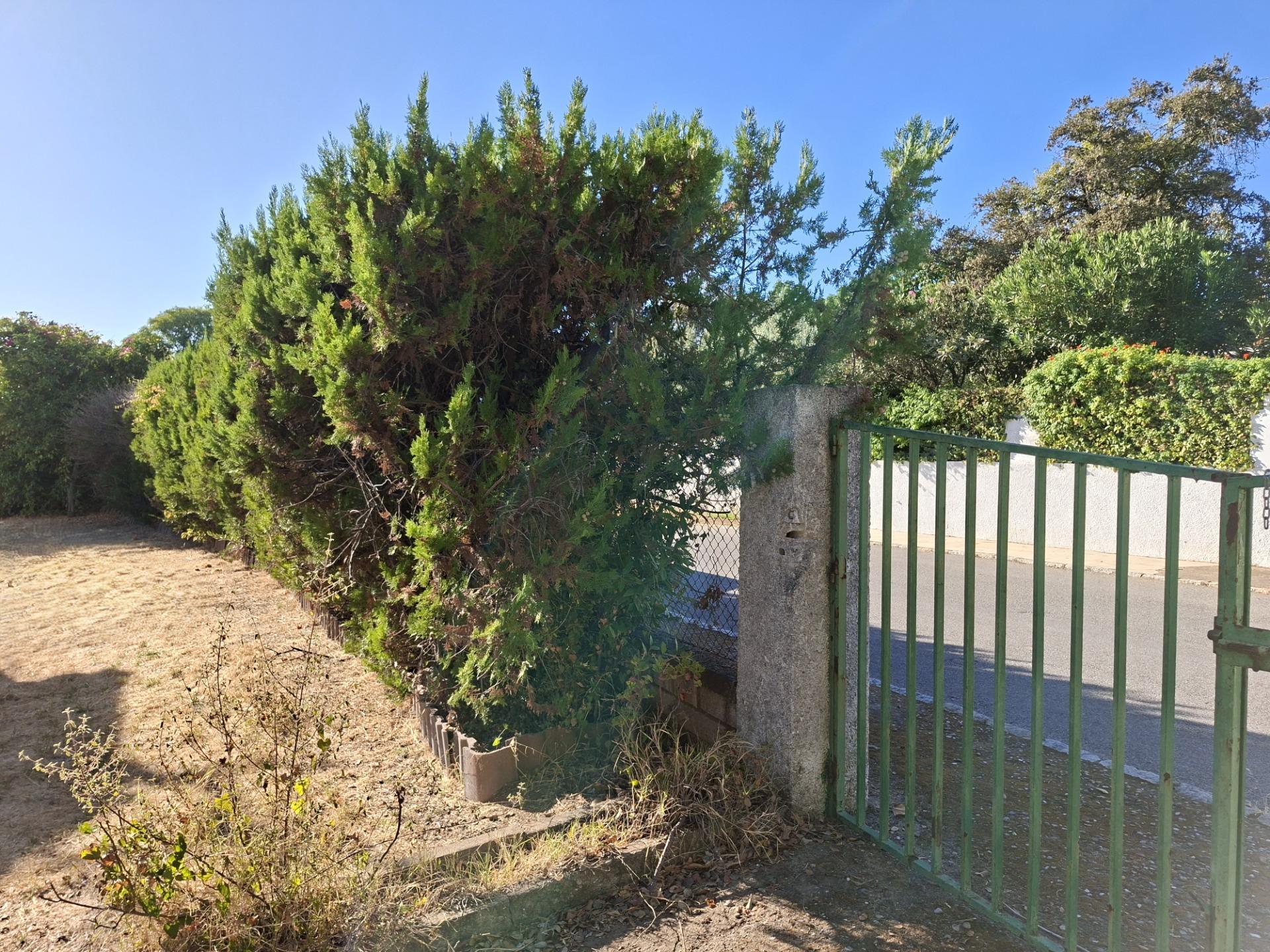 Casas o chalets-Venta-Guillena-1876406-Foto-4