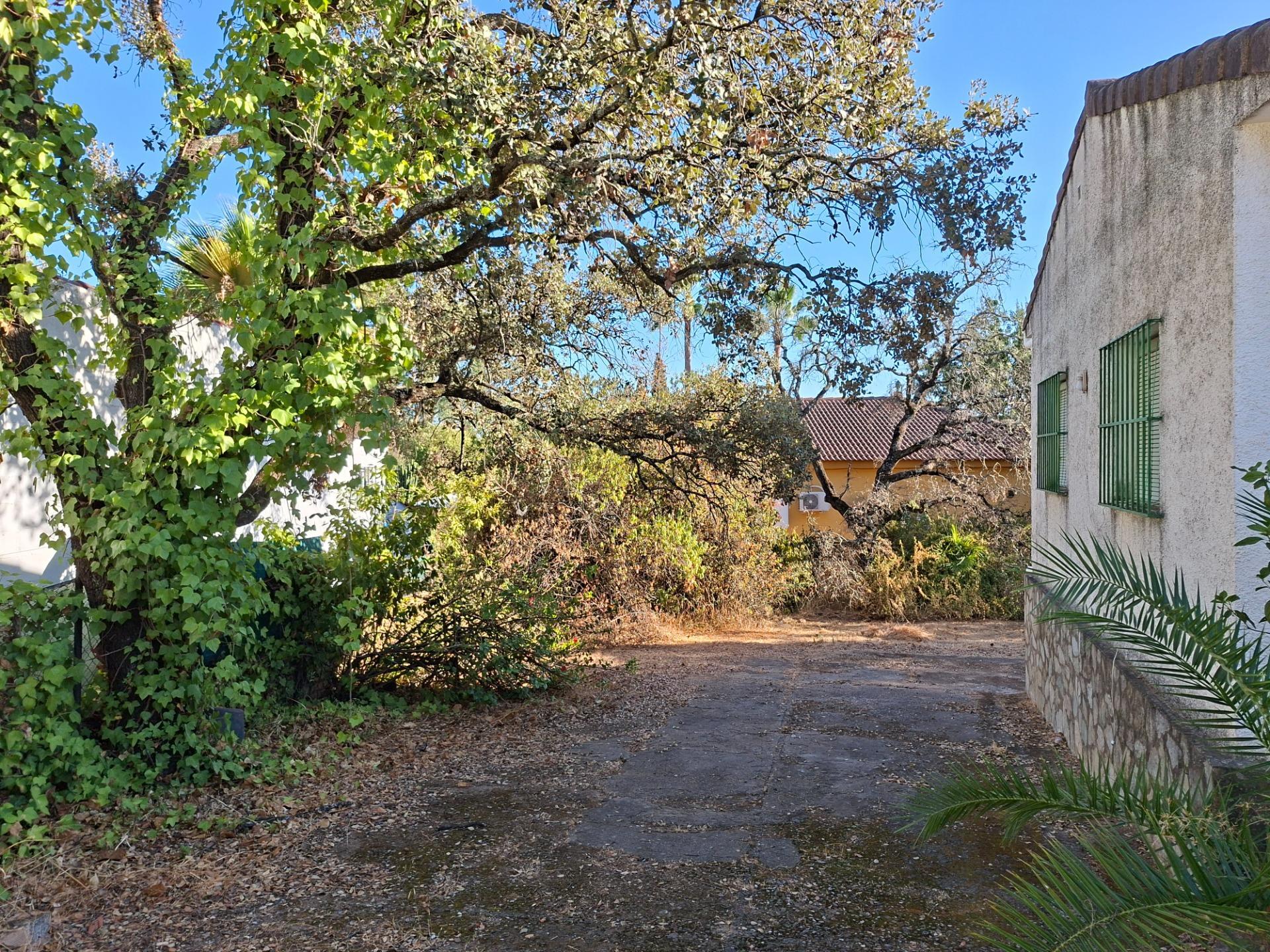 Casas o chalets-Venta-Guillena-1876406-Foto-3