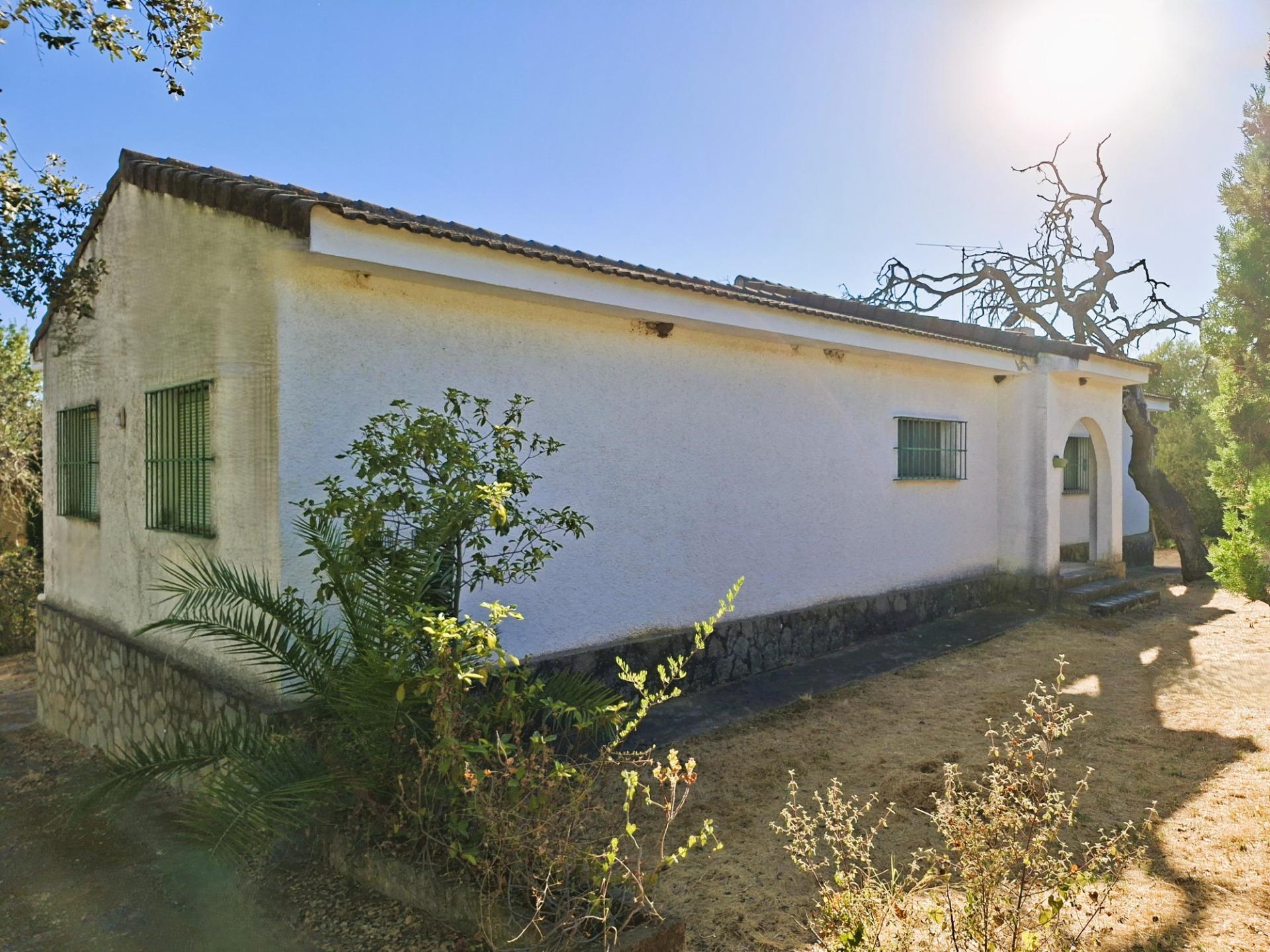 Casas o chalets-Venta-1876406