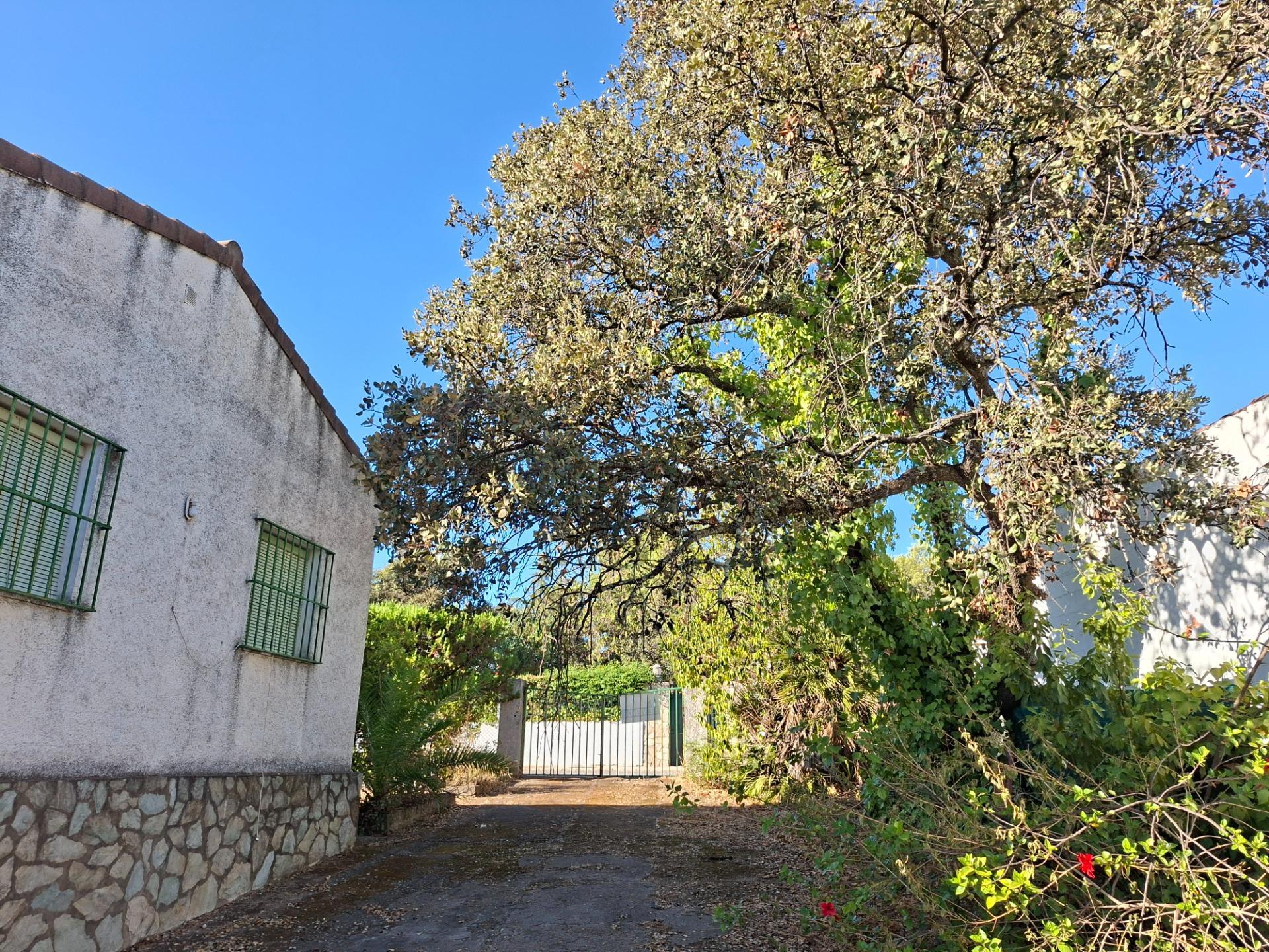 Casas o chalets-Venta-Guillena-1876406-Foto-5