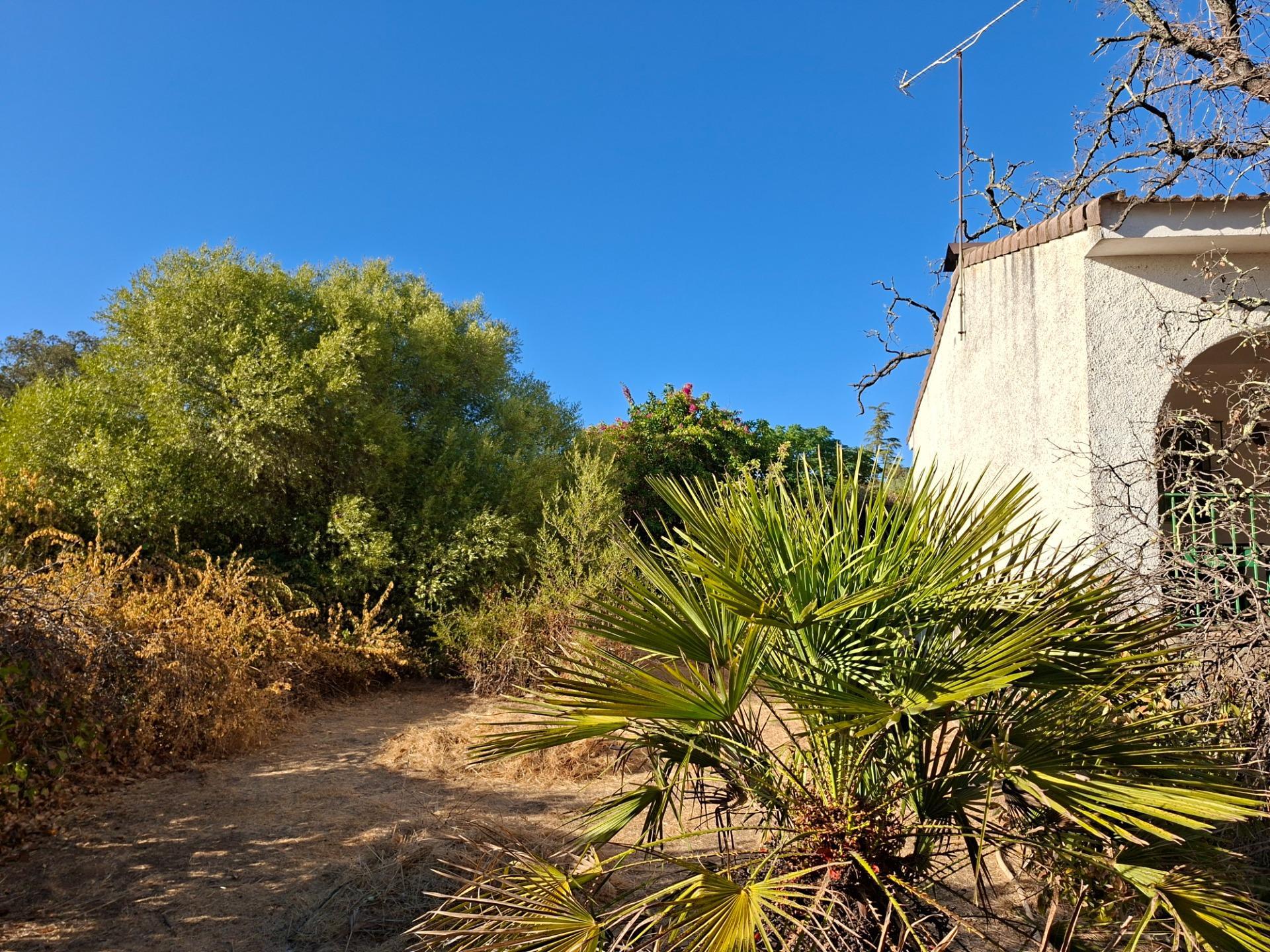 Casas o chalets-Venta-Guillena-1876406-Foto-7