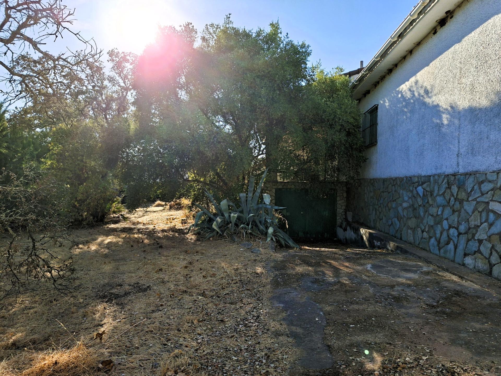 Casas o chalets-Venta-Guillena-1876406-Foto-6