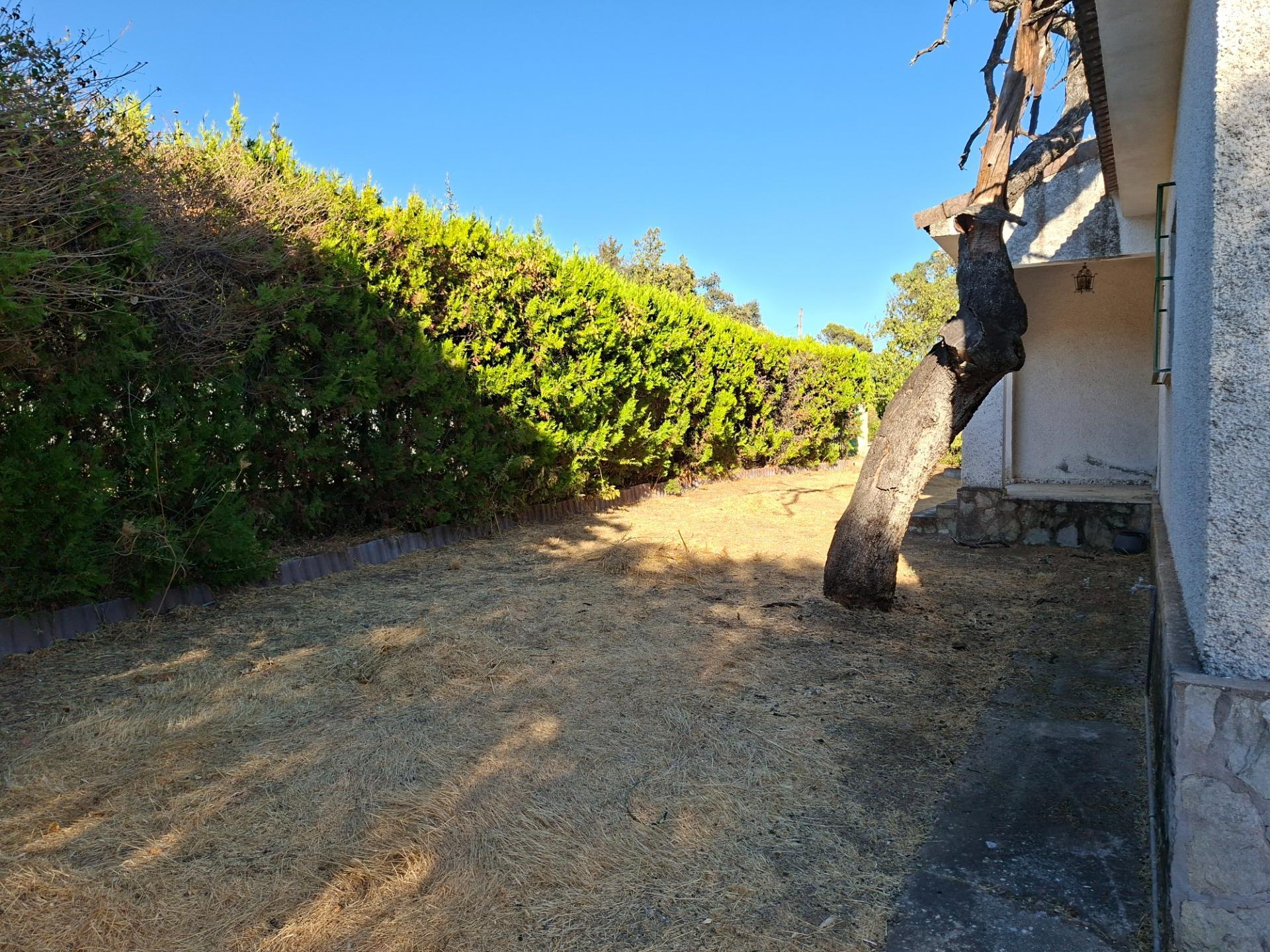 Casas o chalets-Venta-Guillena-1876406-Foto-10