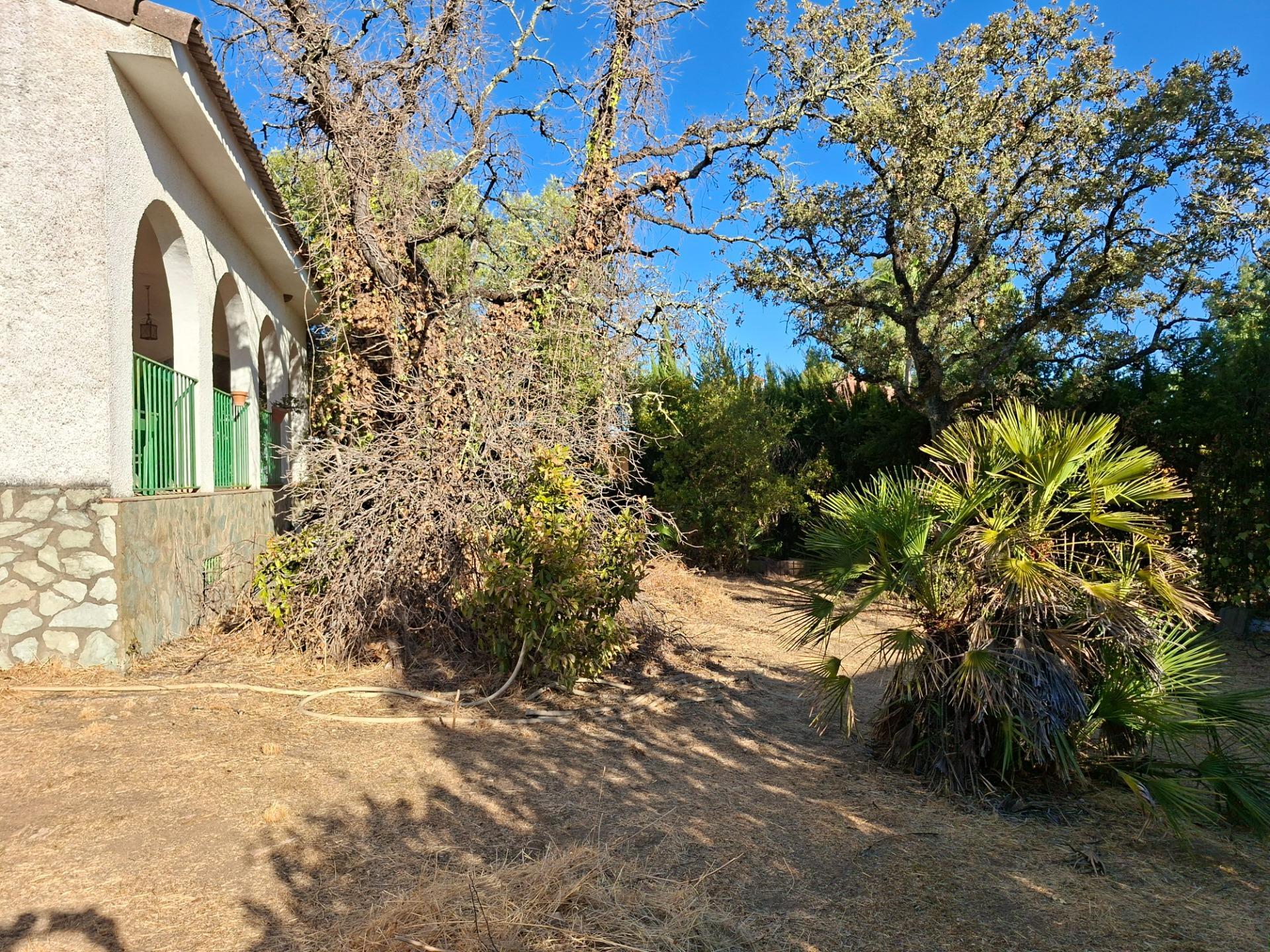 Casas o chalets-Venta-Guillena-1876406-Foto-9