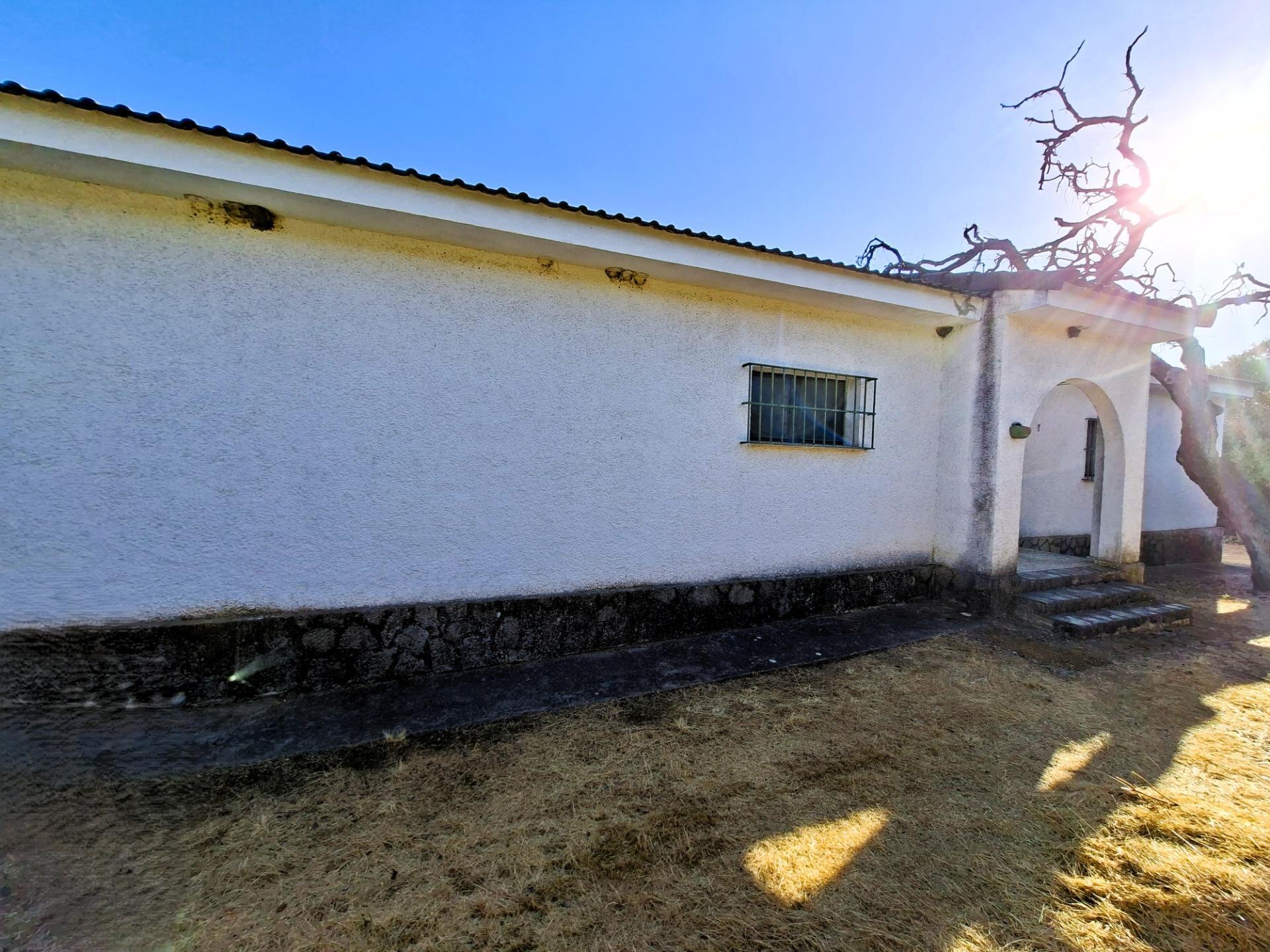 Casas o chalets-Venta-Guillena-1876406-Foto-13