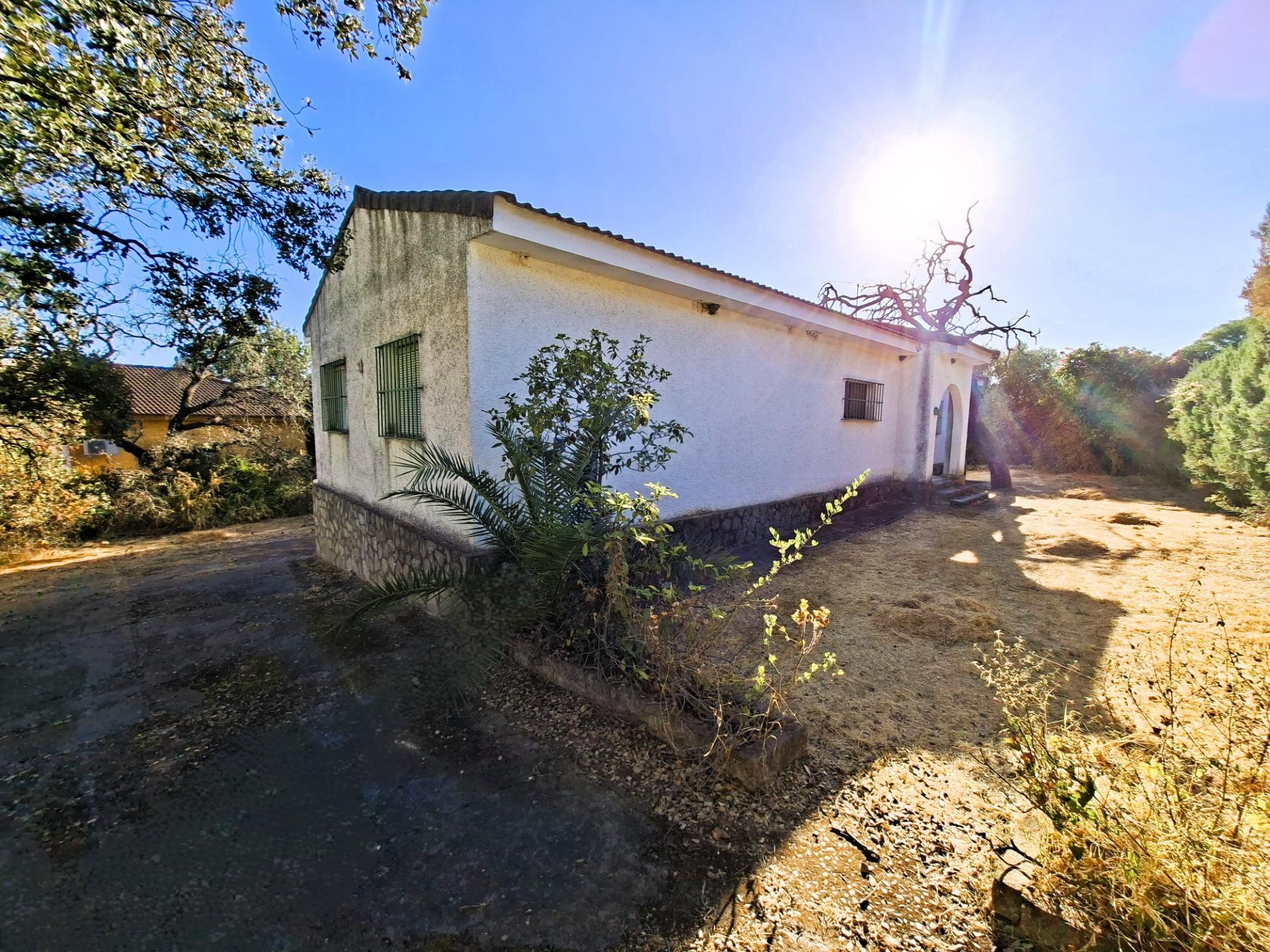 Casas o chalets-Venta-Guillena-1876406-Foto-14