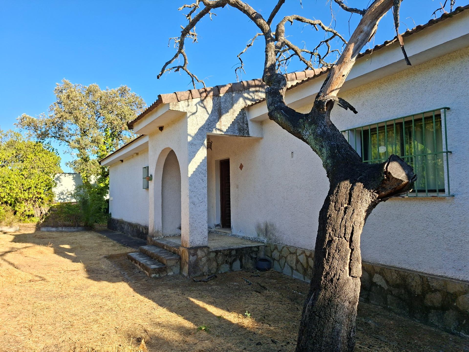 Casas o chalets-Venta-Guillena-1876406-Foto-11