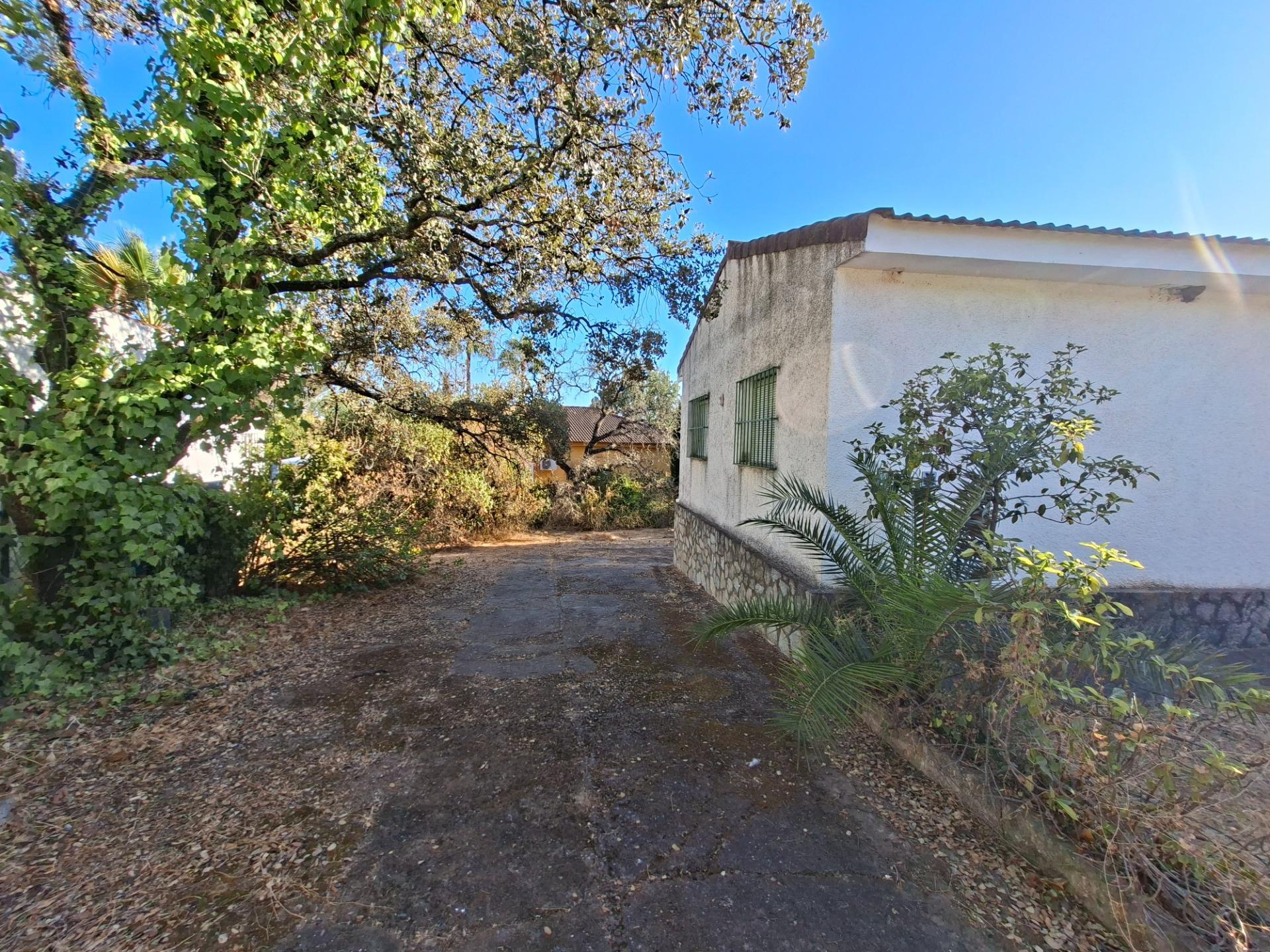 Casas o chalets-Venta-Guillena-1876406-Foto-15