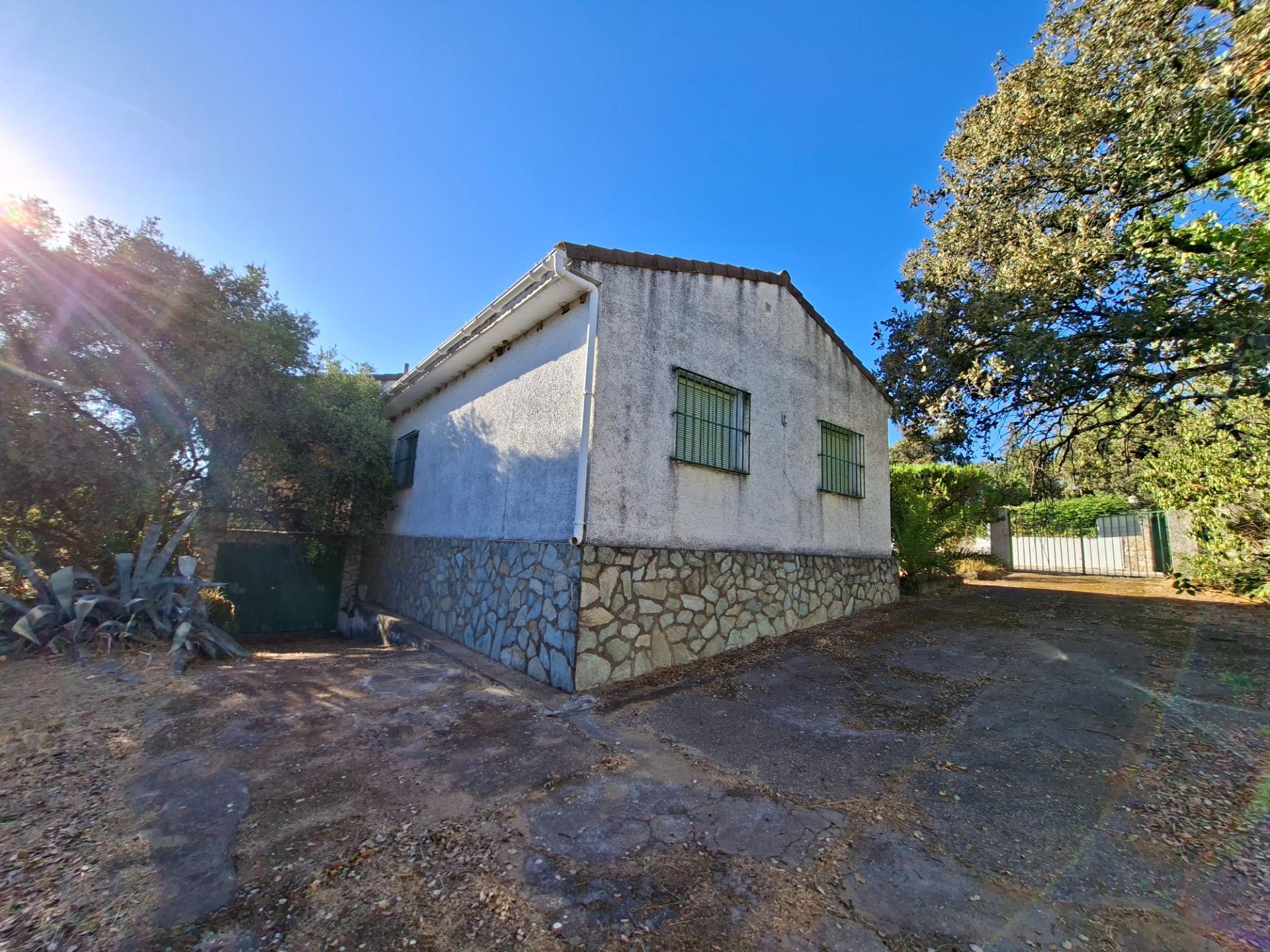 Casas o chalets-Venta-Guillena-1876406-Foto-16