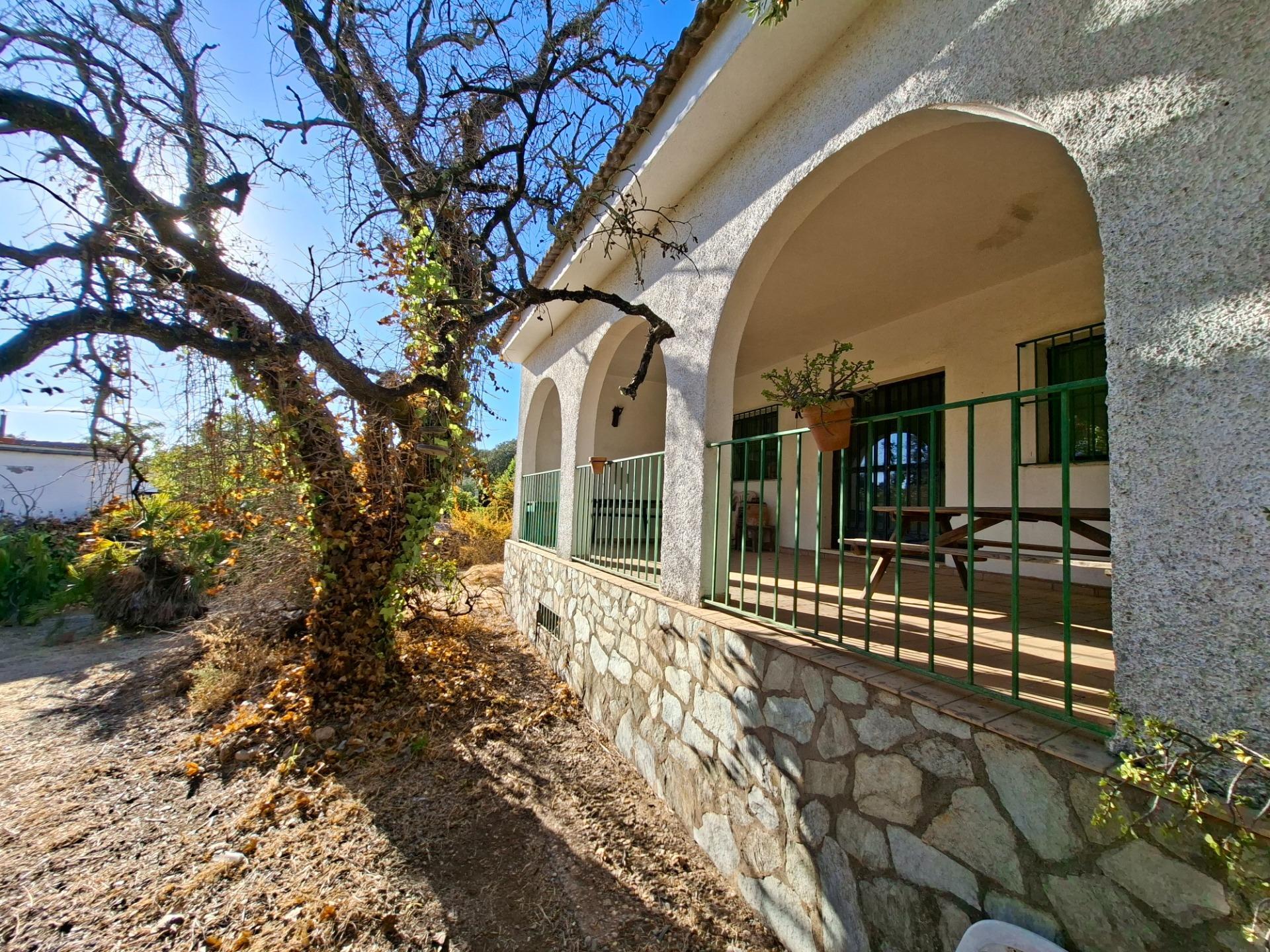 Casas o chalets-Venta-Guillena-1876406-Foto-20