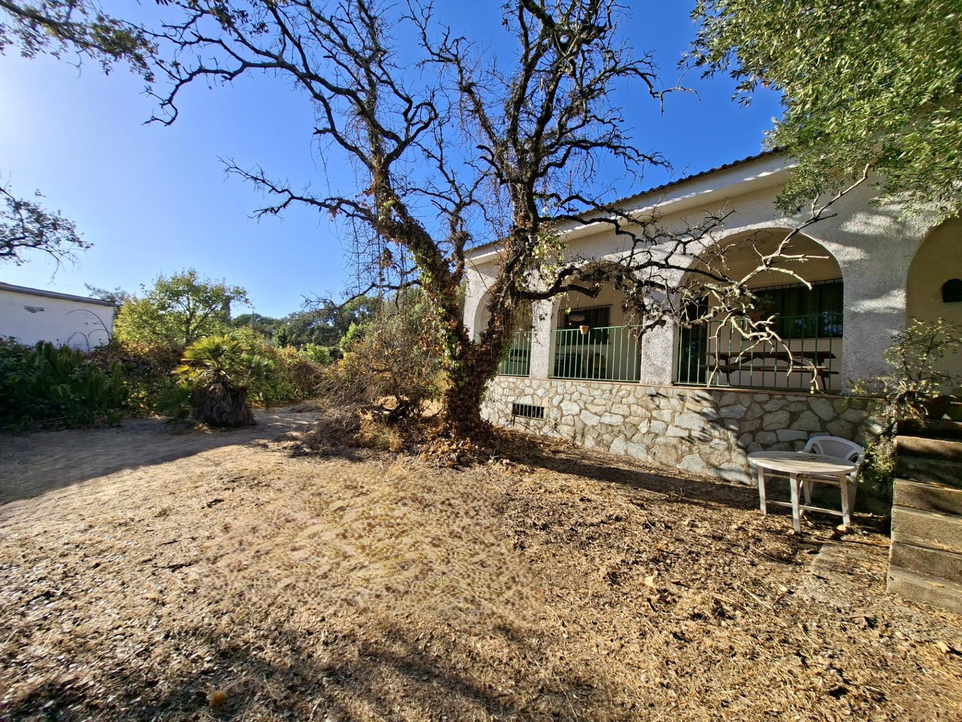 Casas o chalets-Venta-Guillena-1876406-Foto-18