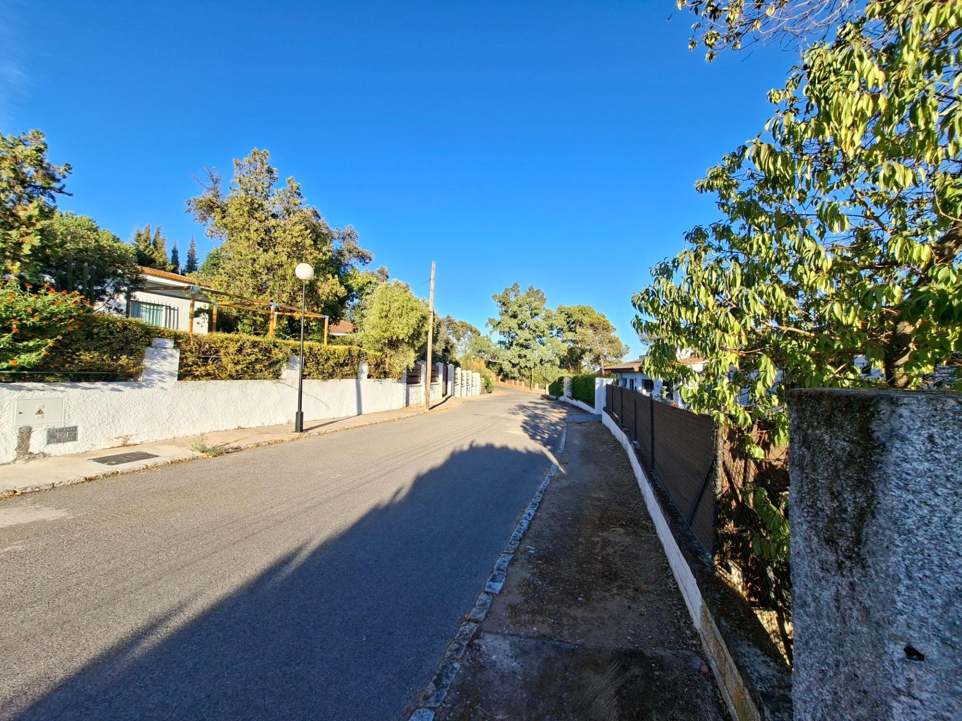 Casas o chalets-Venta-Guillena-1876406-Foto-42