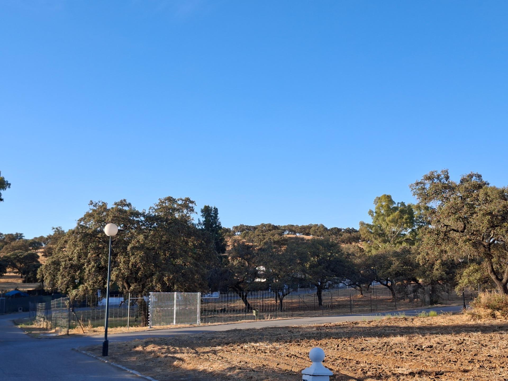 Casas o chalets-Venta-Guillena-1876406-Foto-49