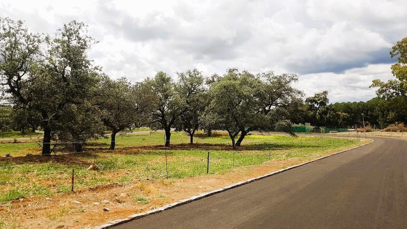 Casas o chalets-Venta-Guillena-1876406-Foto-58