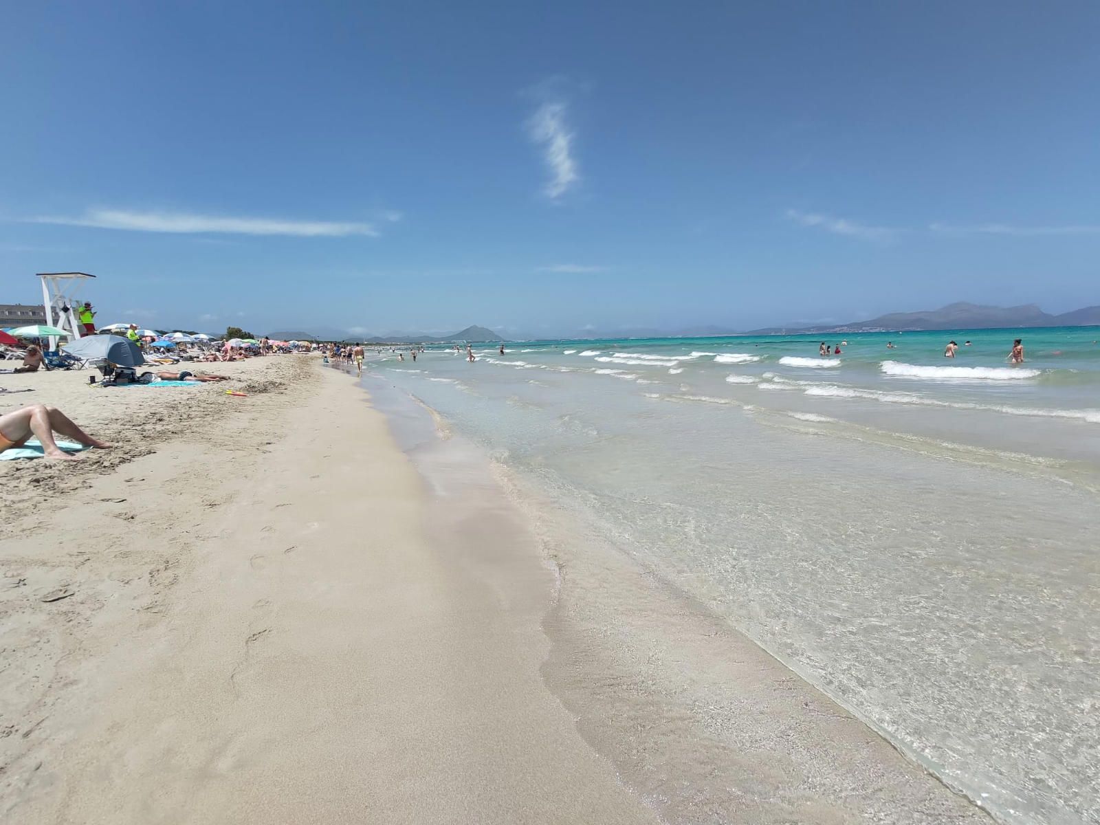 Fincas y solares-Venta-Muro de Alcoy-1423773-Foto-12