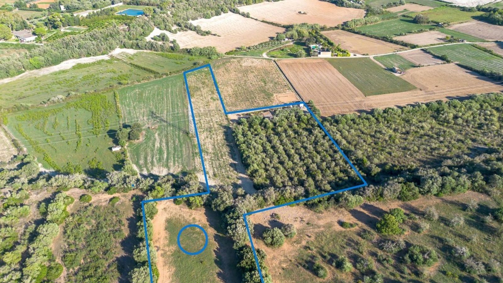 Fincas y solares-Venta-Muro de Alcoy-1423773-Foto-9