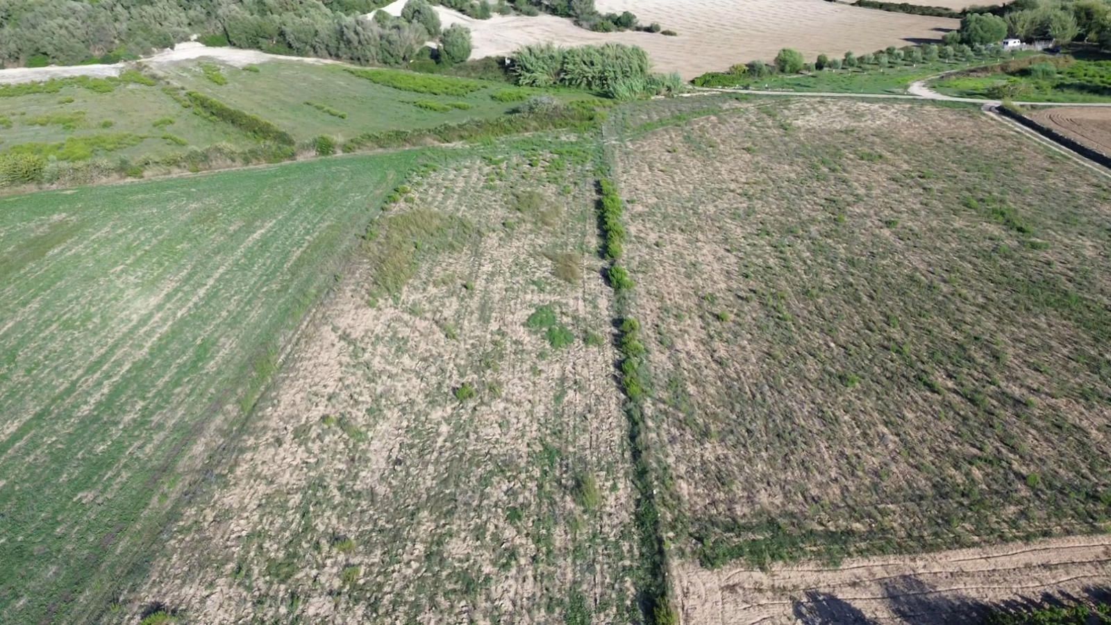 Fincas y solares-Venta-Muro de Alcoy-1423773-Foto-11