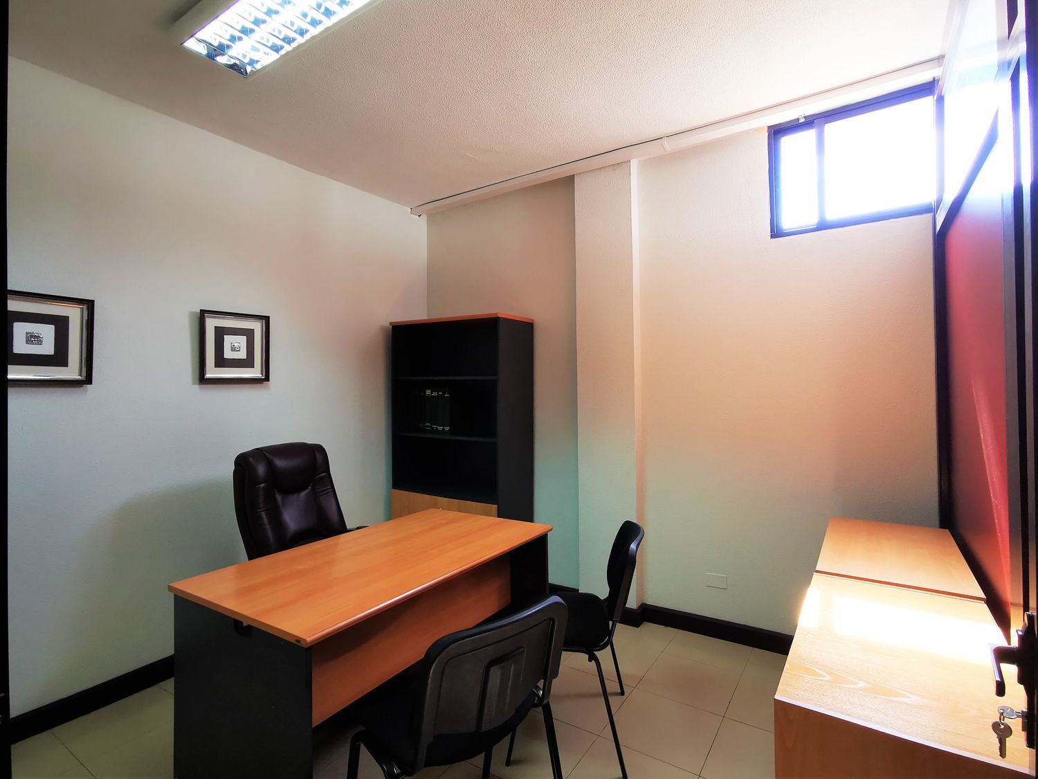 Oficinas-Alquiler-Las Palmas de Gran Canaria-493371-Foto-3