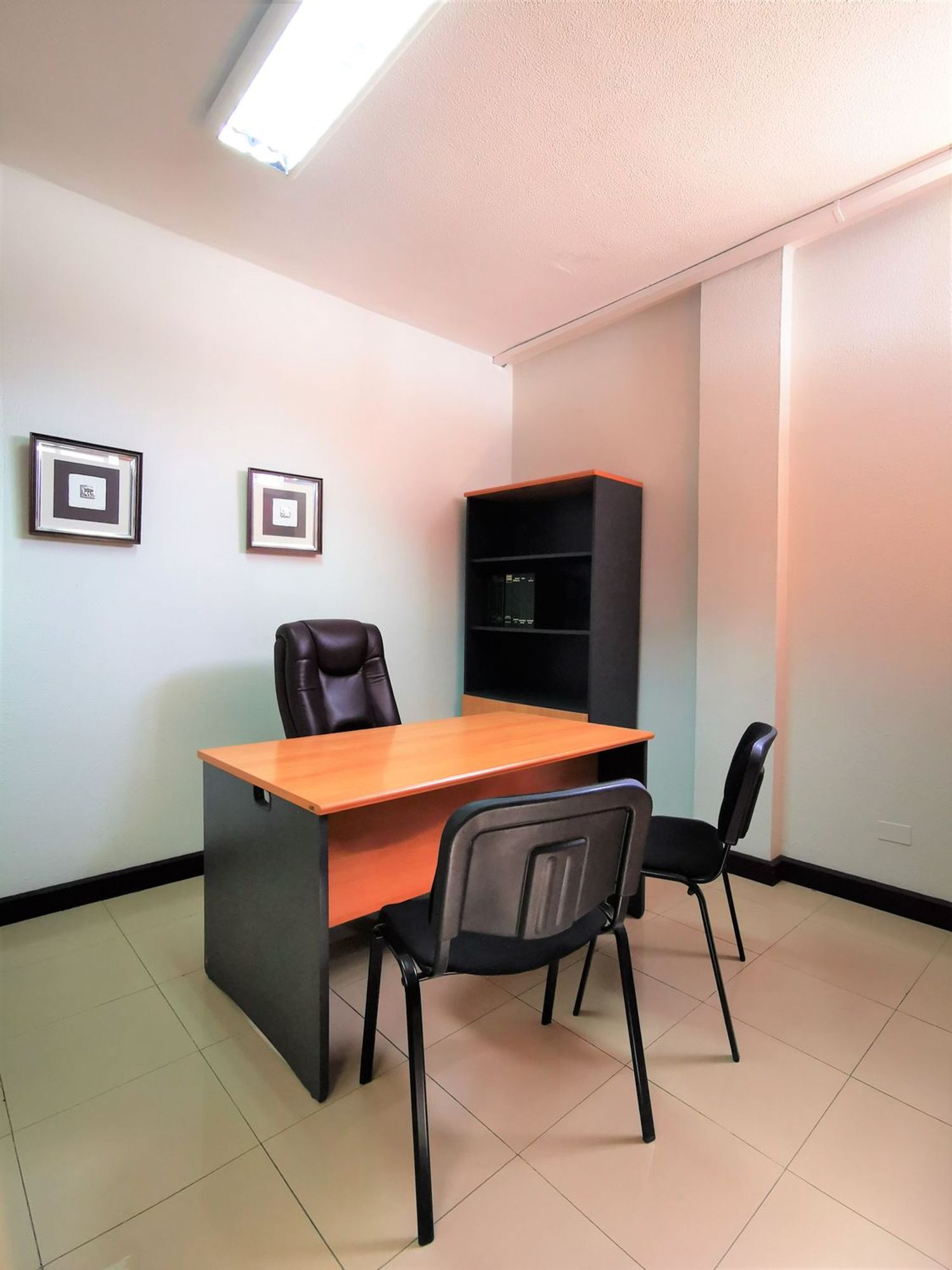 Oficinas-Alquiler-Las Palmas de Gran Canaria-493371-Foto-4