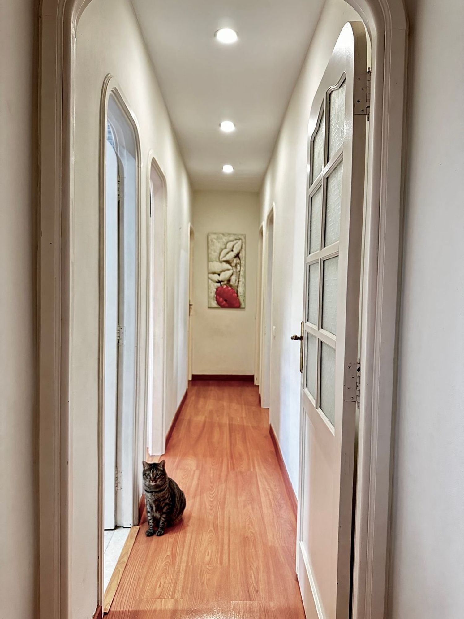 Pisos-Venta-Las Palmas de Gran Canaria-1876388-Foto-10