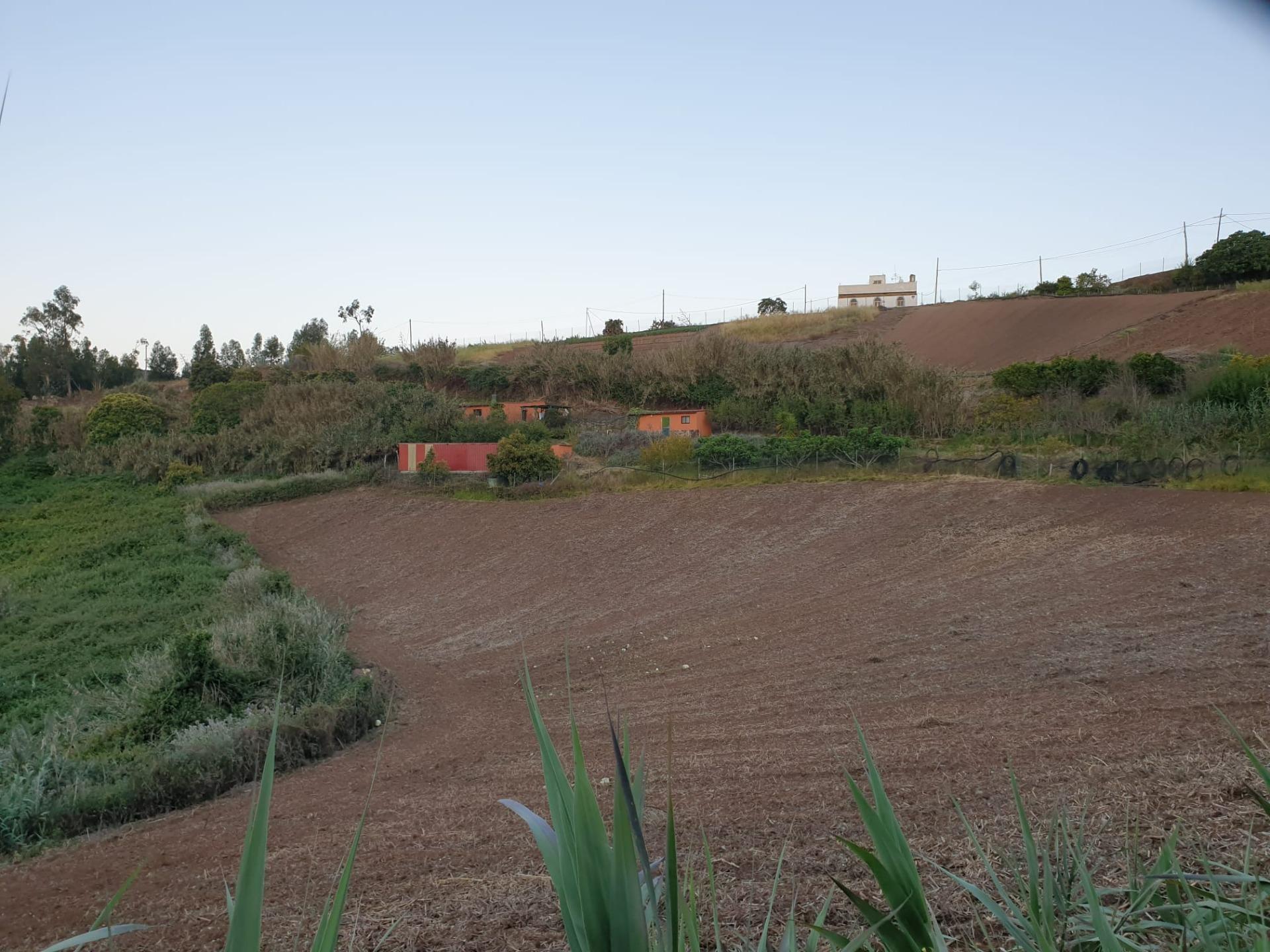 Casas o chalets-Venta-Moya-1876849-Foto-15