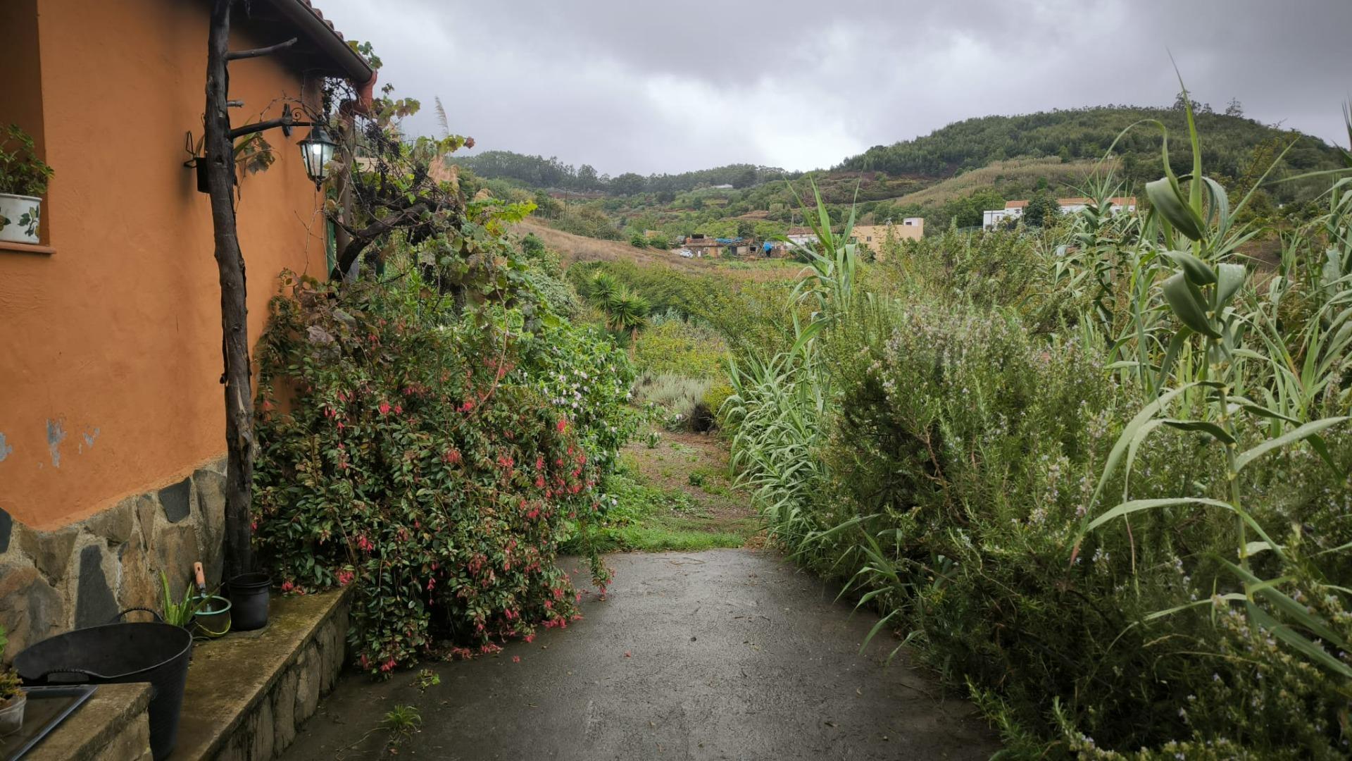 Casas o chalets-Venta-Moya-1876849-Foto-14