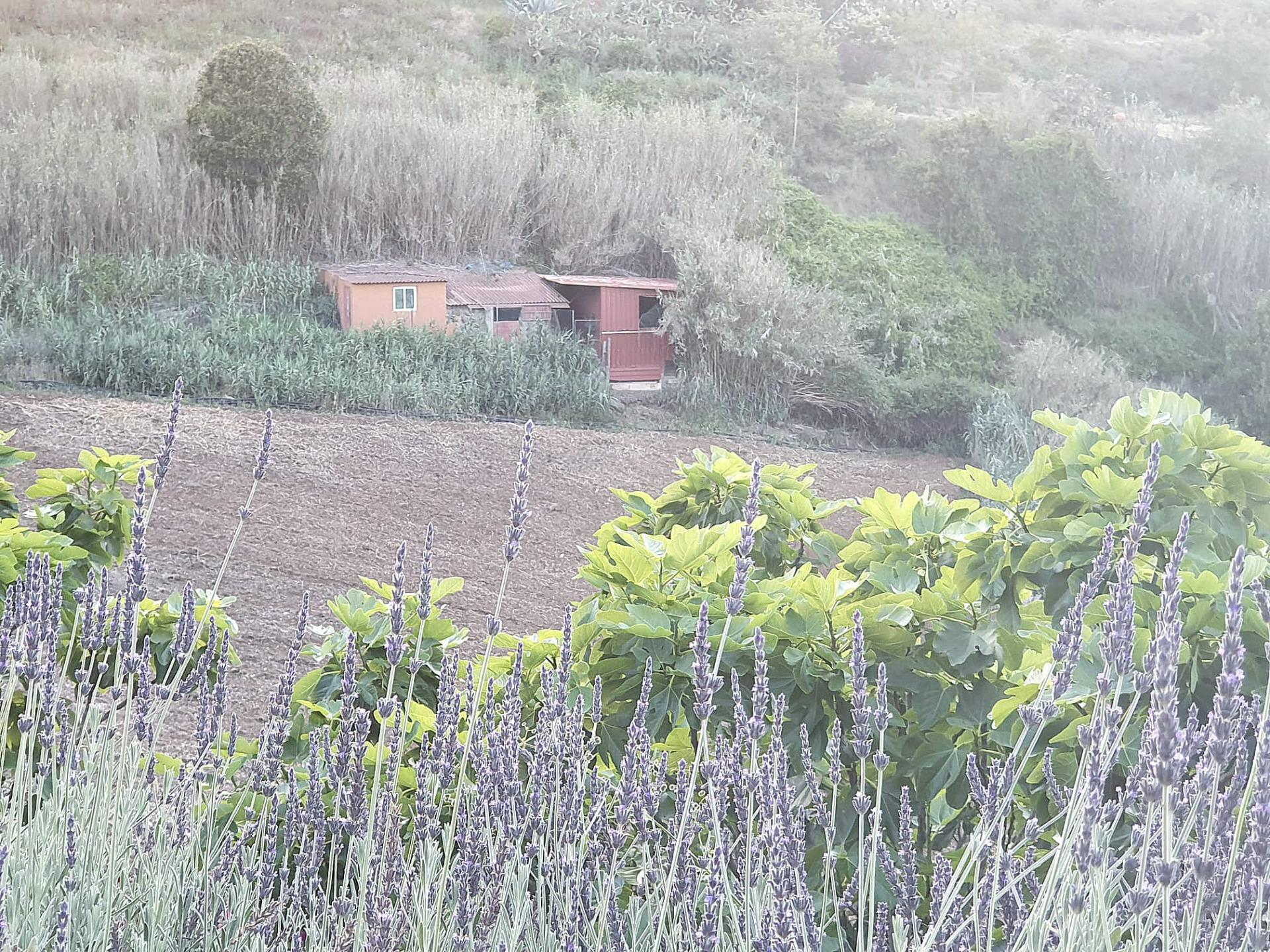 Casas o chalets-Venta-Moya-1876849-Foto-21