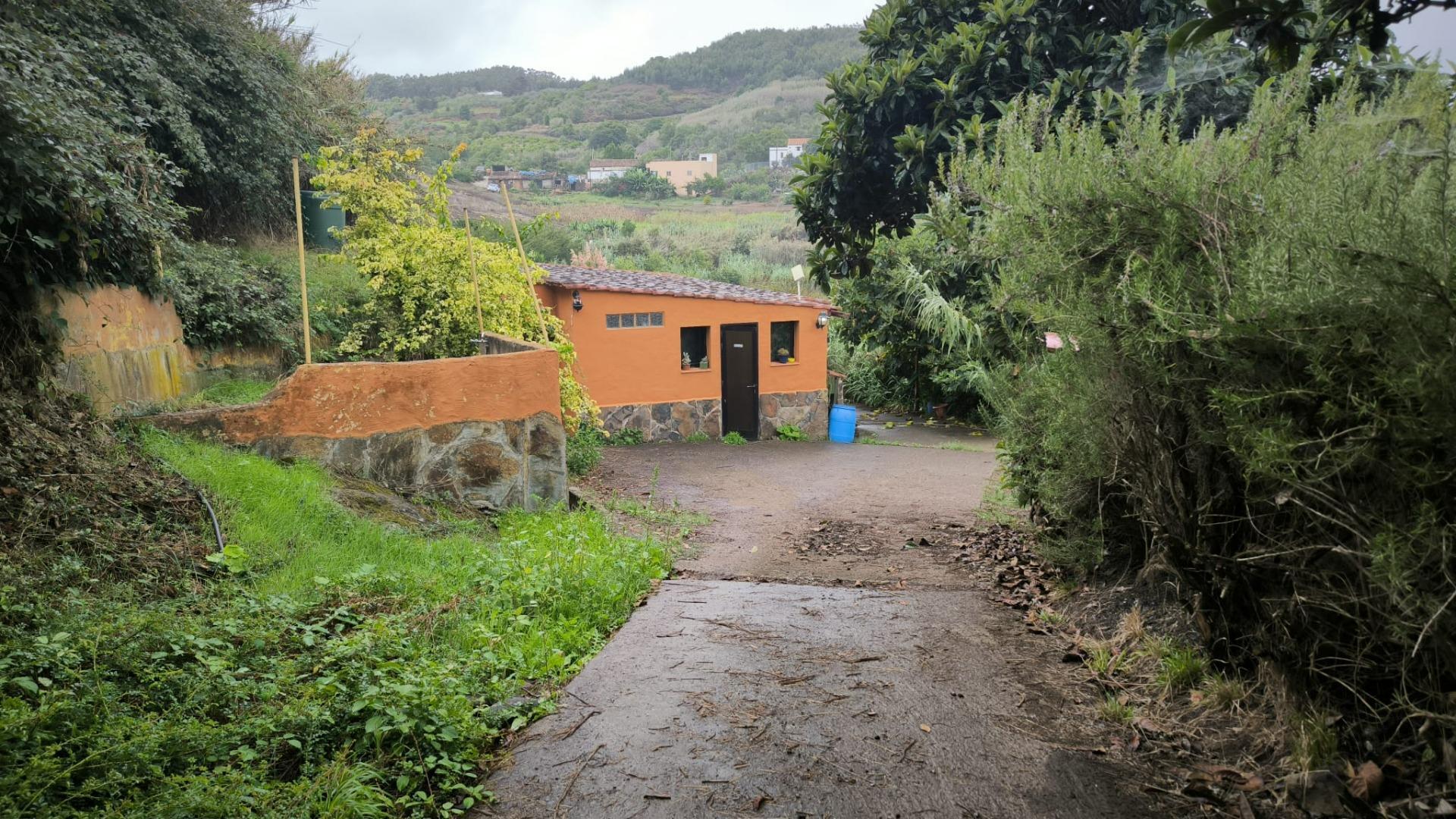 Casas o chalets-Venta-Moya-1876849-Foto-28