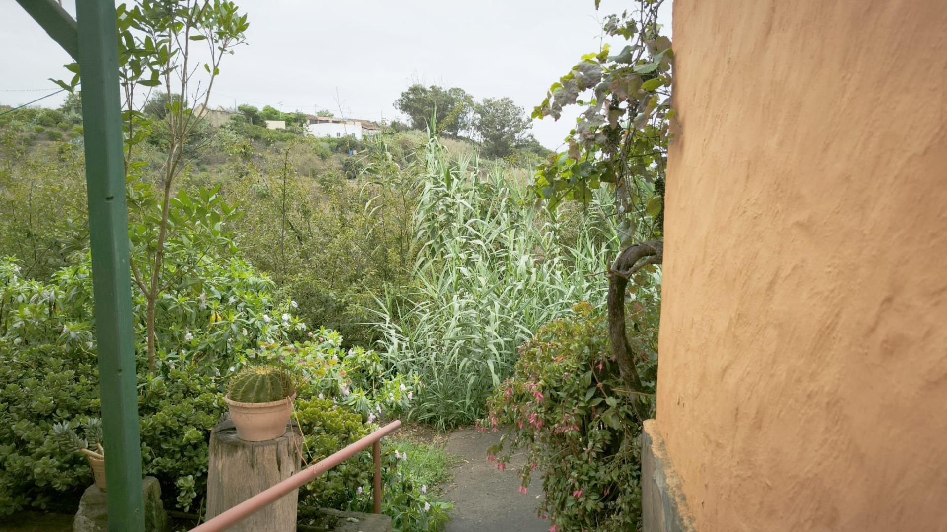 Casas o chalets-Venta-Moya-1876849-Foto-30