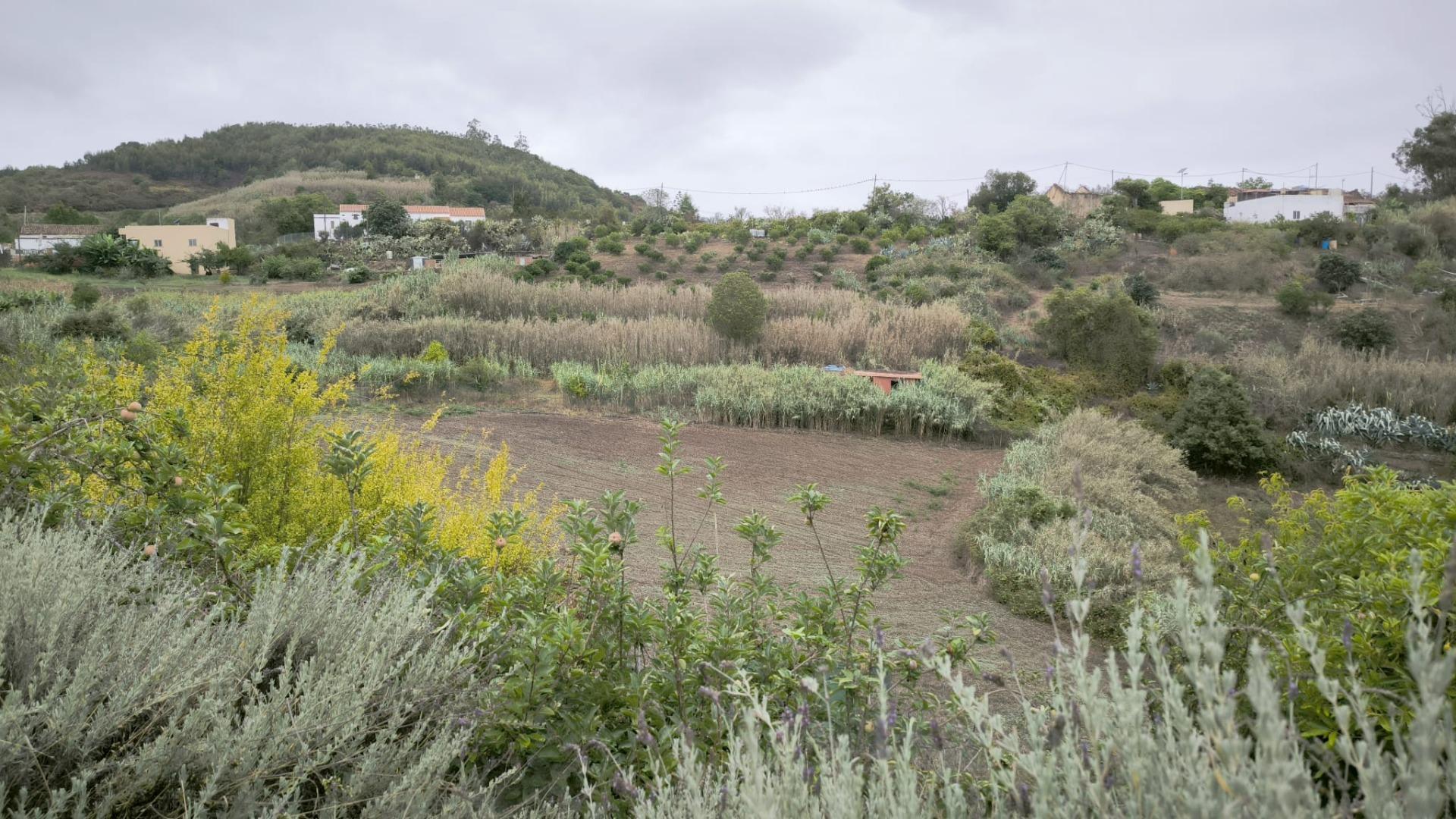 Casas o chalets-Venta-Moya-1876849-Foto-29