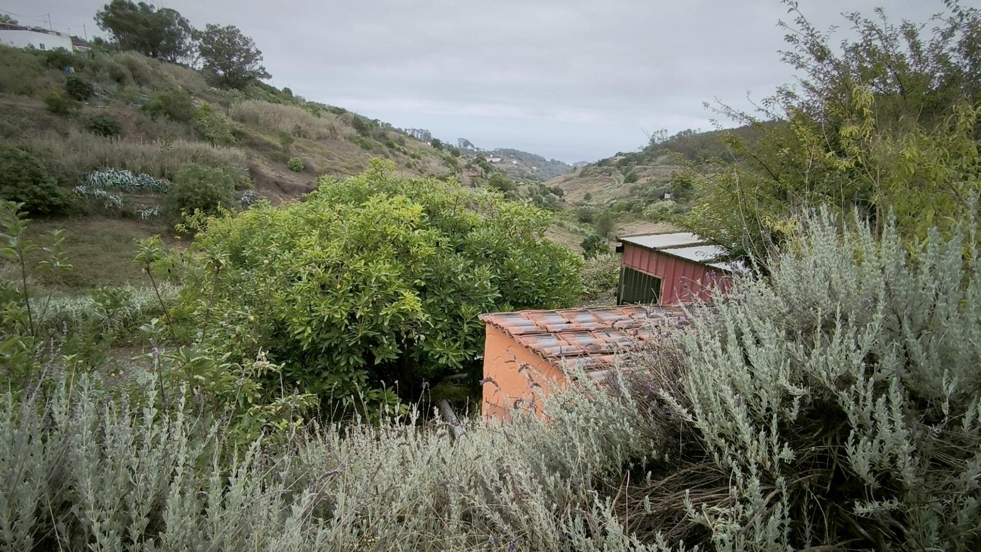 Casas o chalets-Venta-Moya-1876849-Foto-32