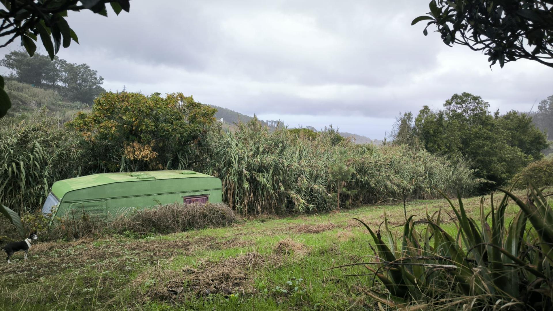 Casas o chalets-Venta-Moya-1876849-Foto-33