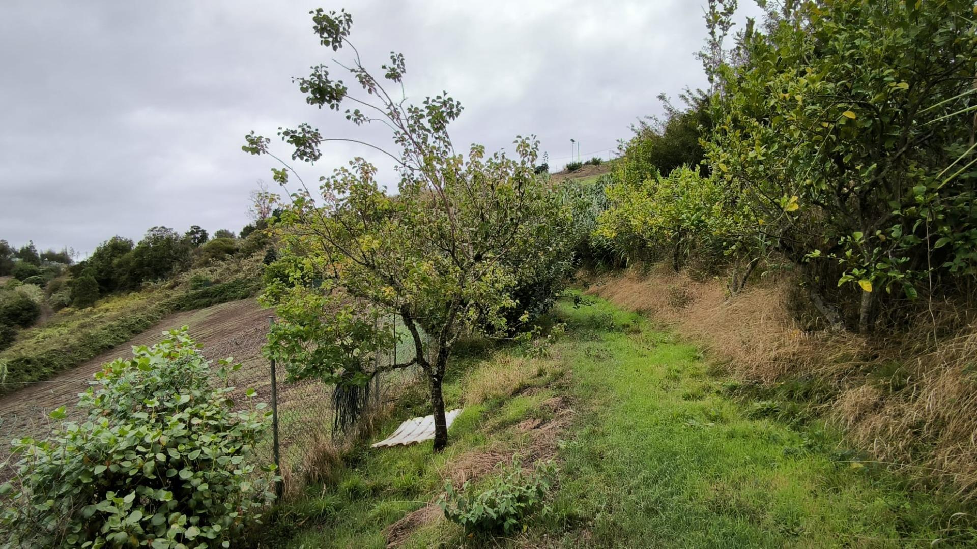 Casas o chalets-Venta-Moya-1876849-Foto-39