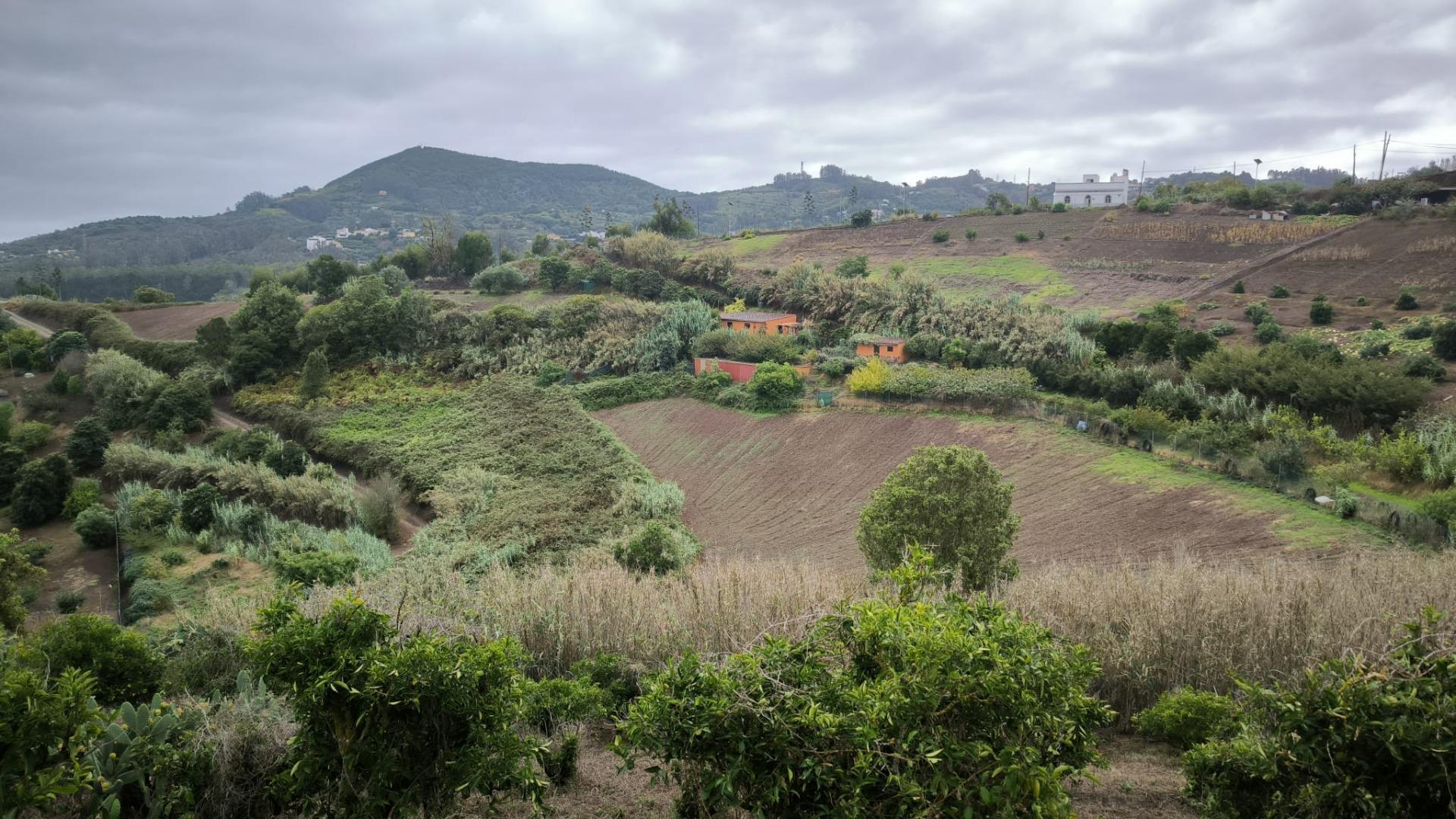 Casas o chalets-Venta-Moya-1876849-Foto-43