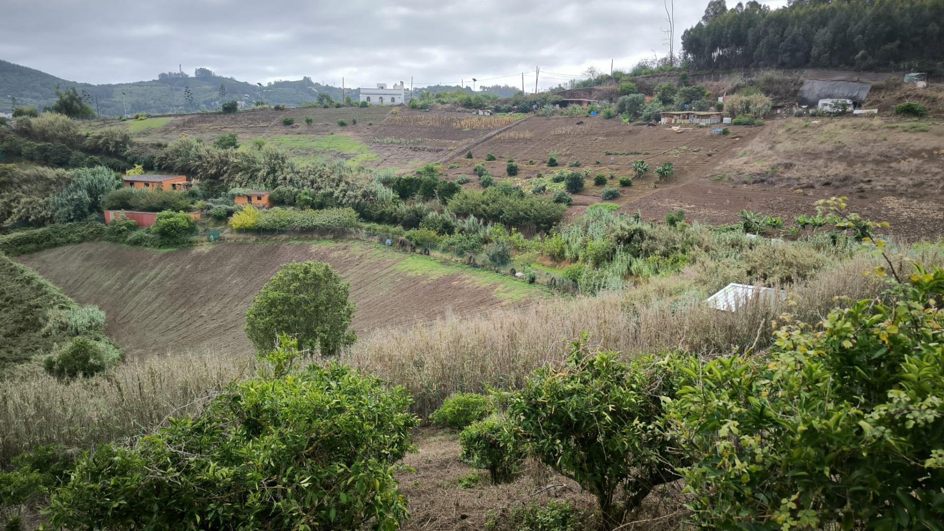 Casas o chalets-Venta-Moya-1876849-Foto-48