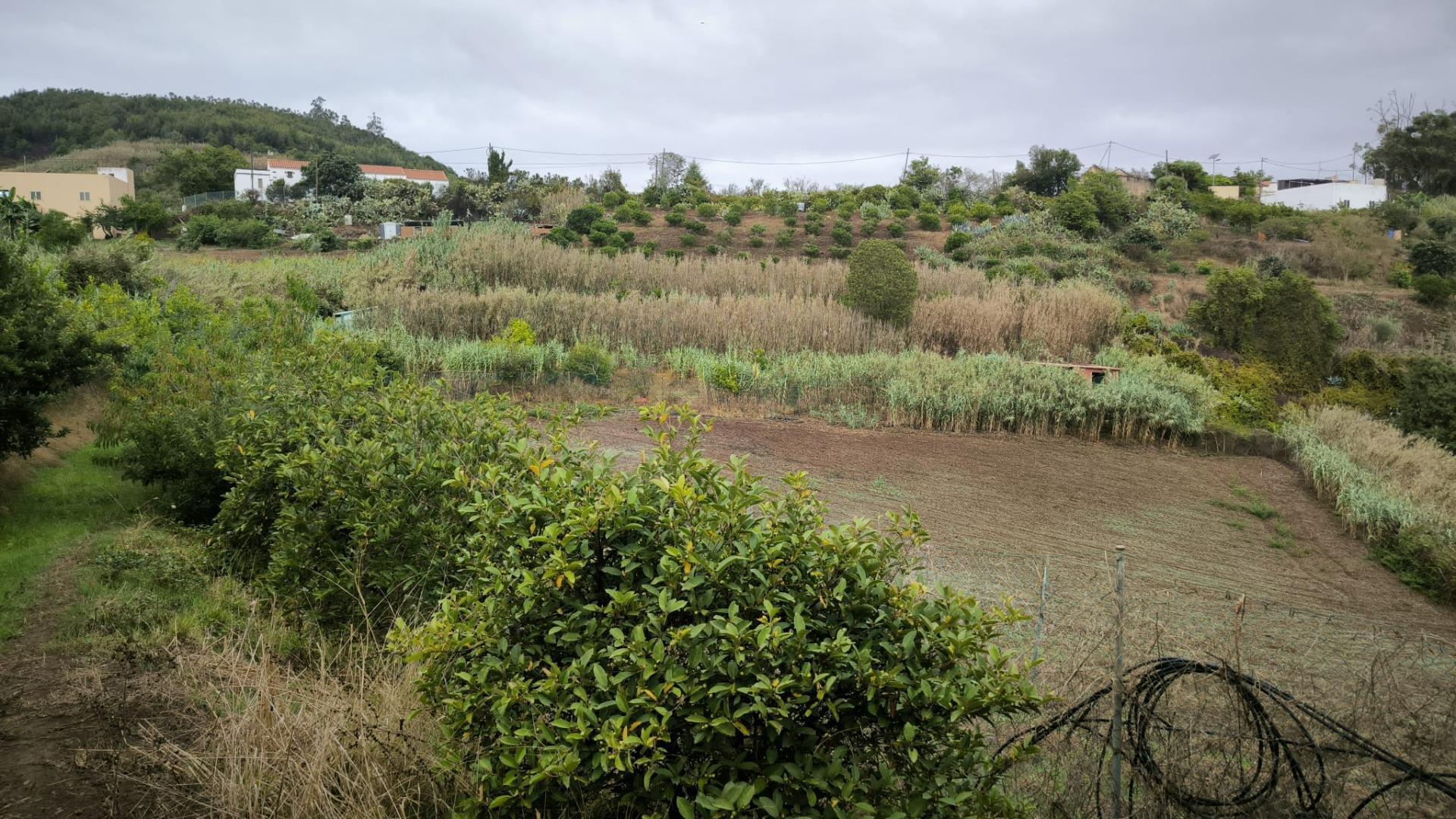 Casas o chalets-Venta-Moya-1876849-Foto-58