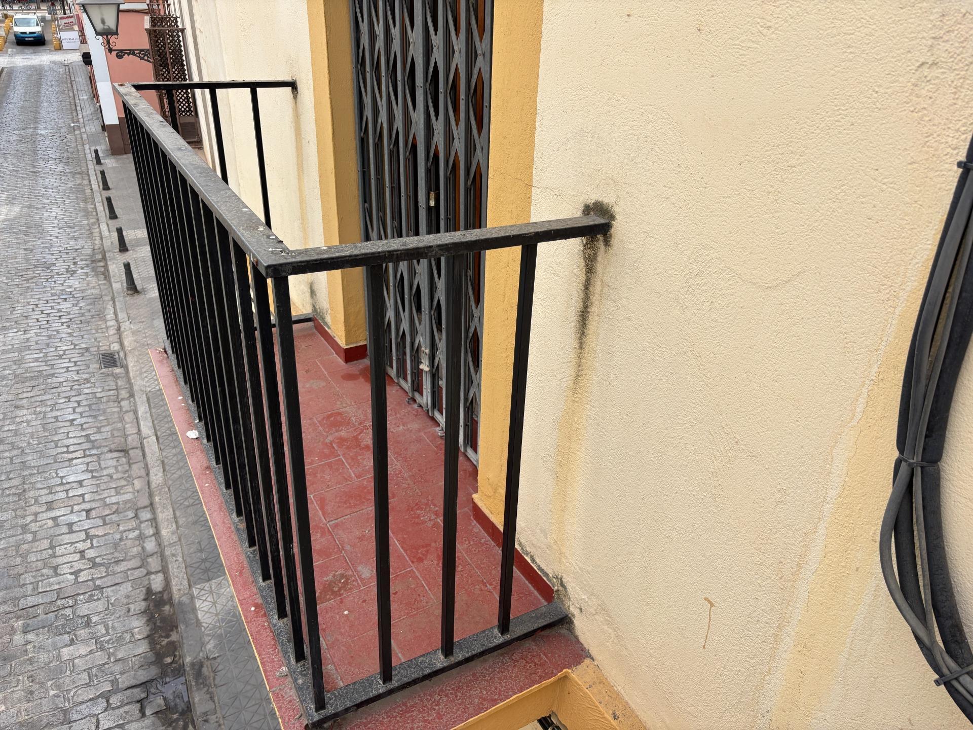 Pisos-Alquiler-Burguillos-1840902-Foto-47