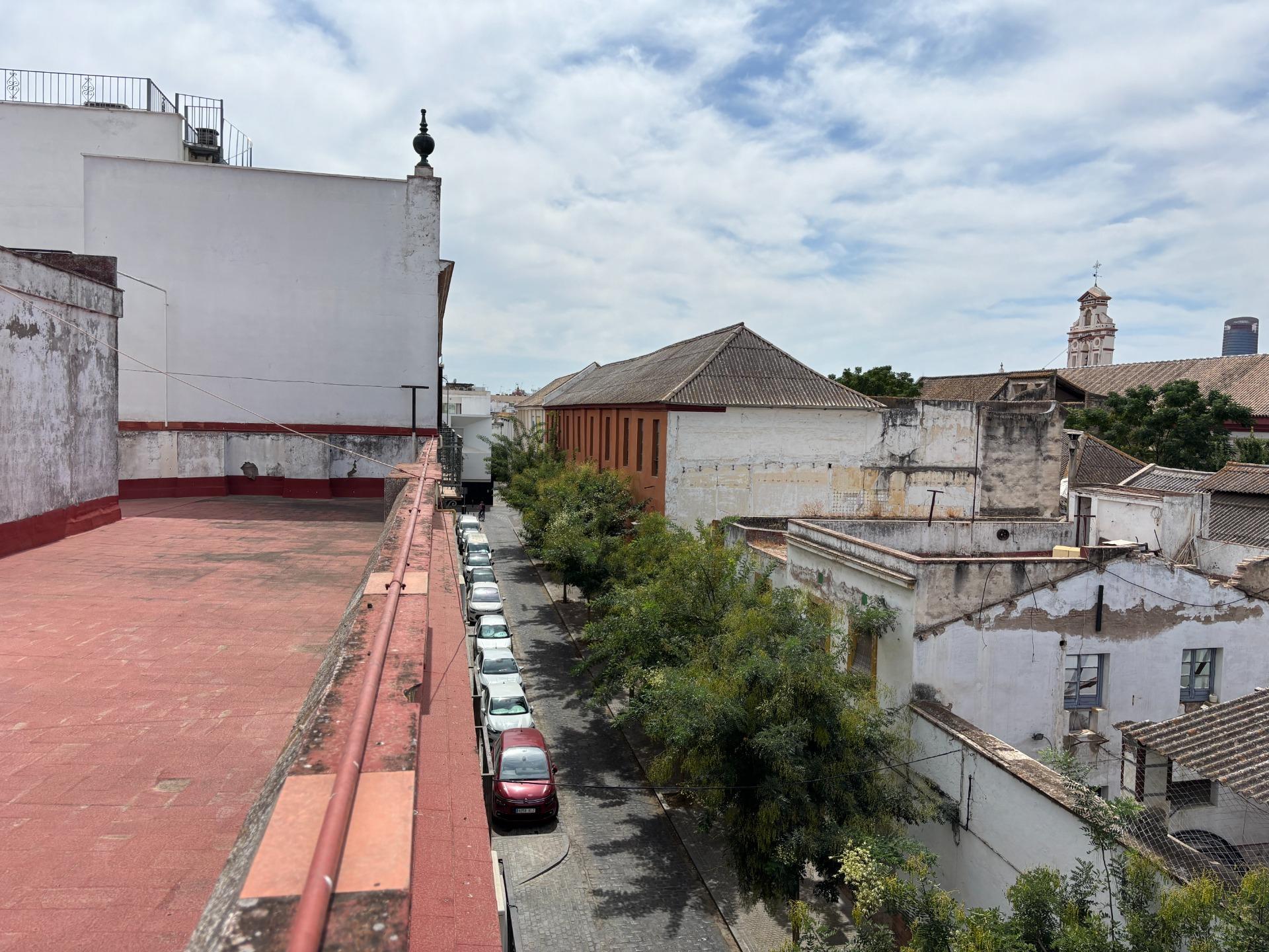 Pisos-Alquiler-Burguillos-1840902-Foto-52