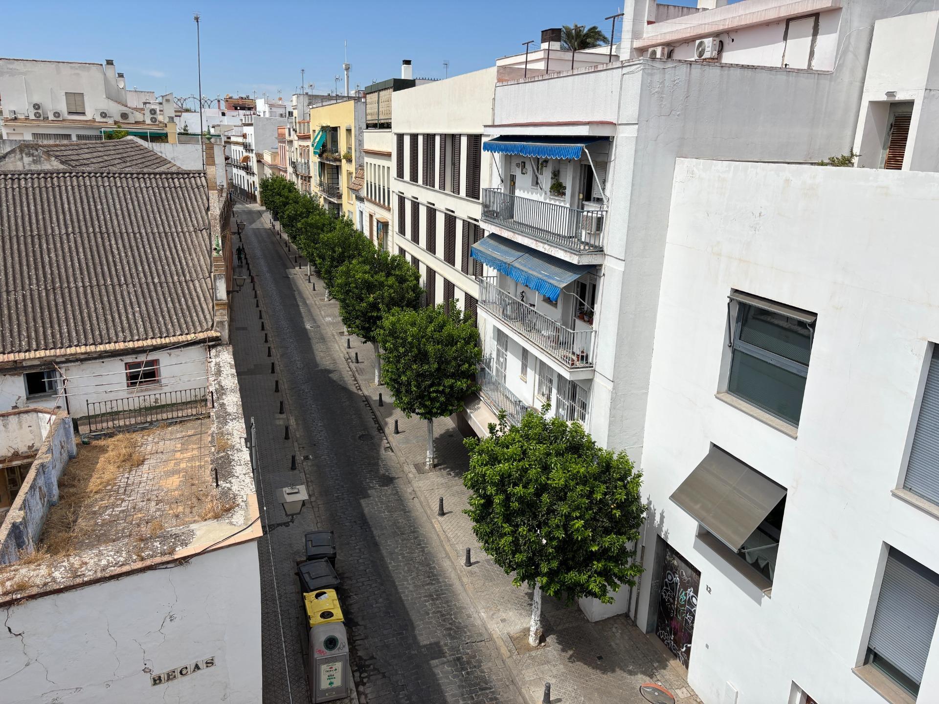 Pisos-Alquiler-Burguillos-1840902-Foto-53