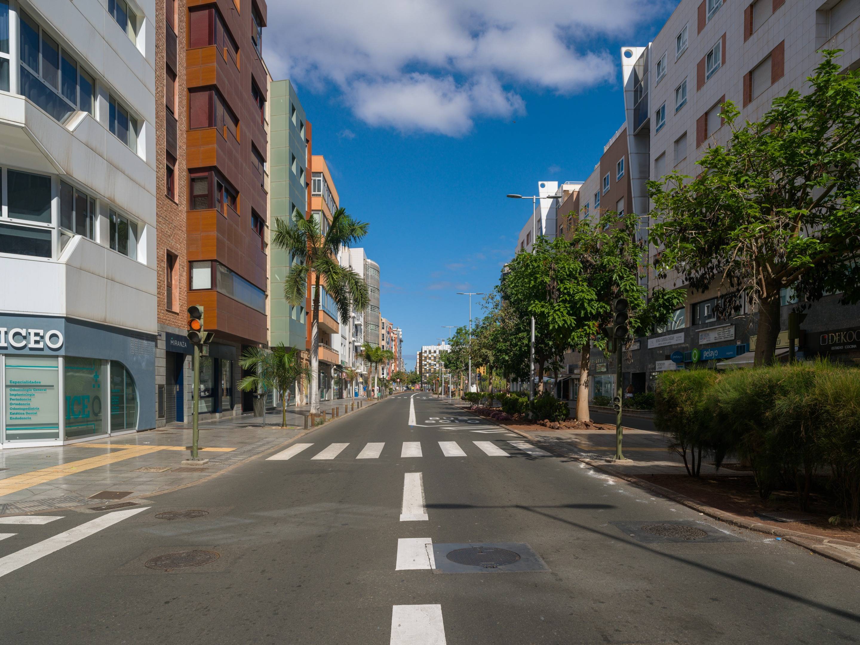 Pisos-Venta-Las Palmas de Gran Canaria-1875956-Foto-4