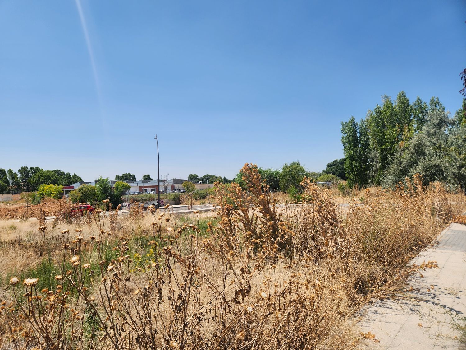 Fincas y solares-Venta-Guadalajara-1876885-Foto-5