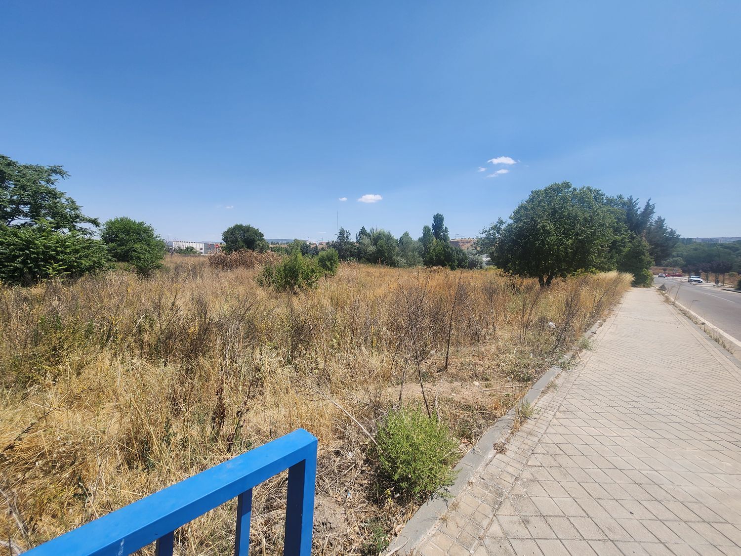Fincas y solares-Venta-Guadalajara-1876885-Foto-11