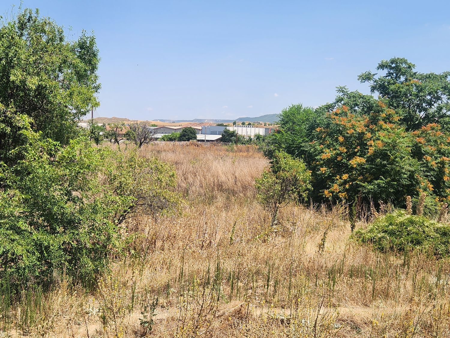Fincas y solares-Venta-Guadalajara-1876885-Foto-12